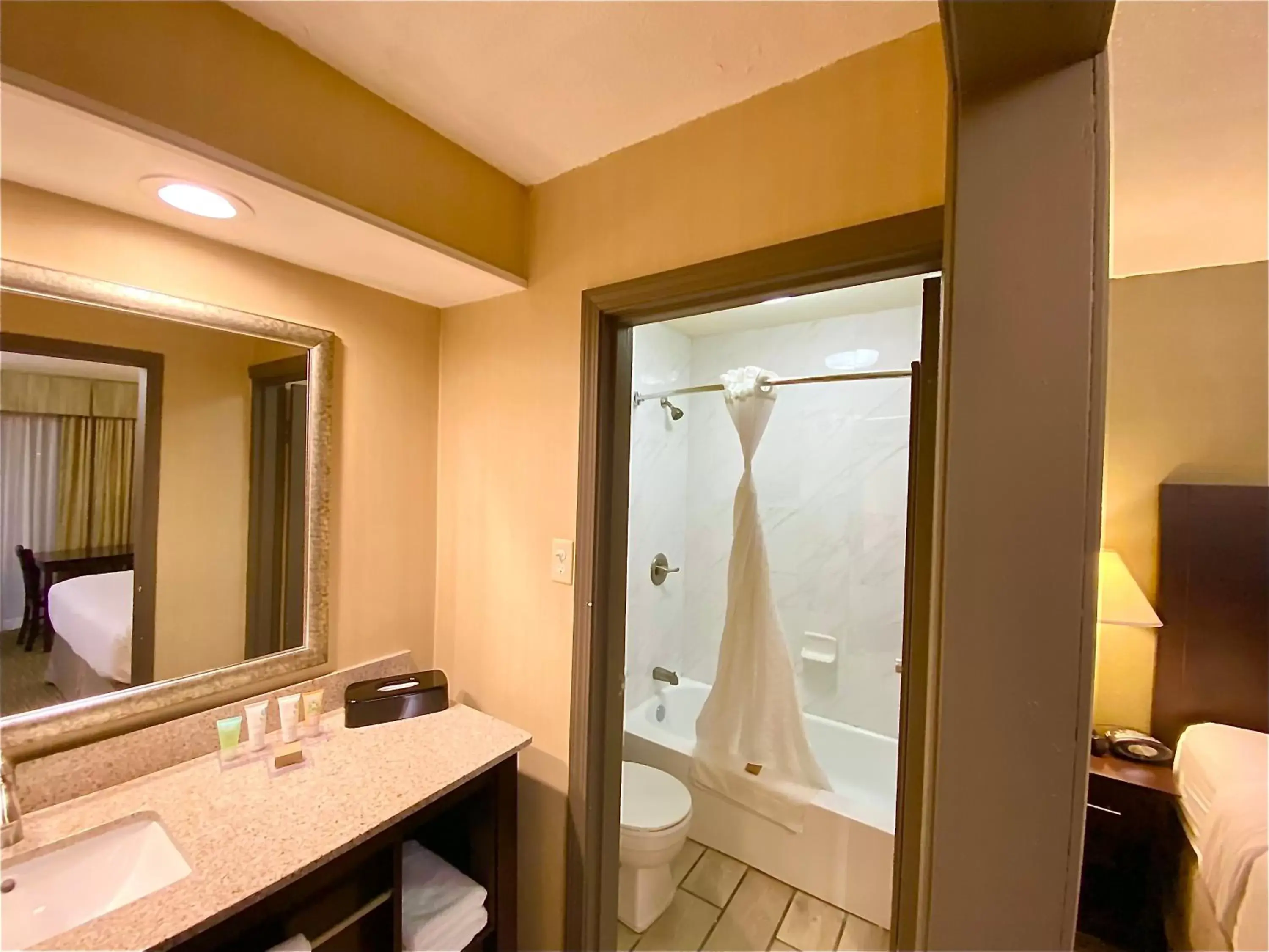 Shower, Bathroom in Wyndham Garden Ann Arbor