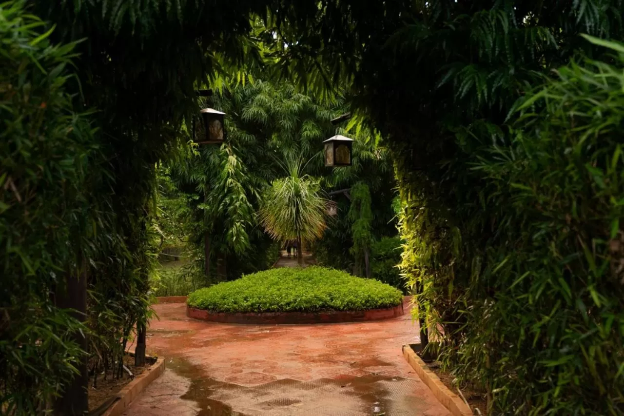 Garden in The Fern Ranthambore Forest Resort Rajasthan