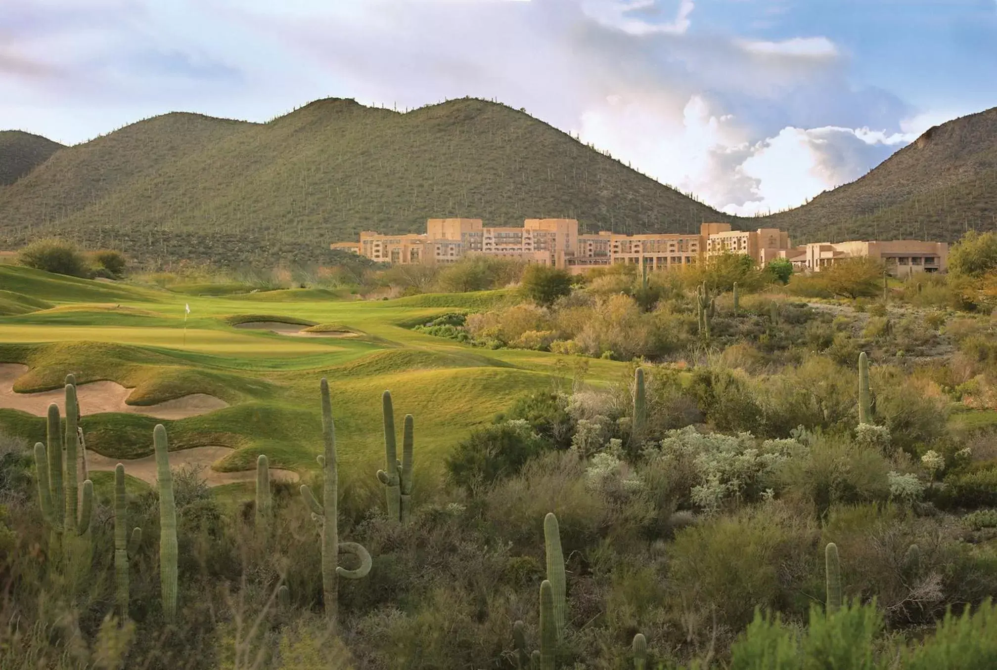 Golfcourse, Natural Landscape in Starr Pass Golf Suites