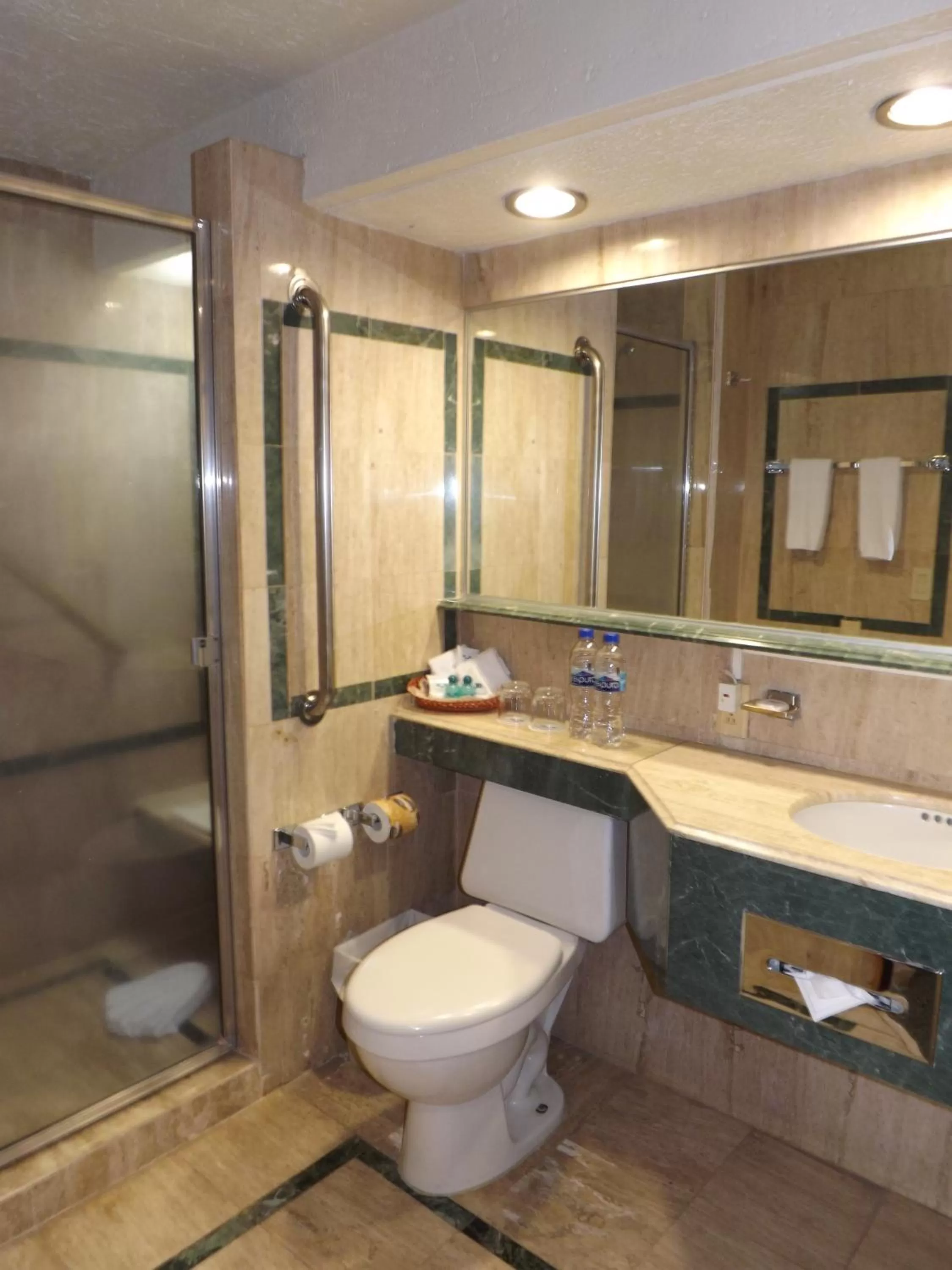 Bathroom in Pedregal Palace