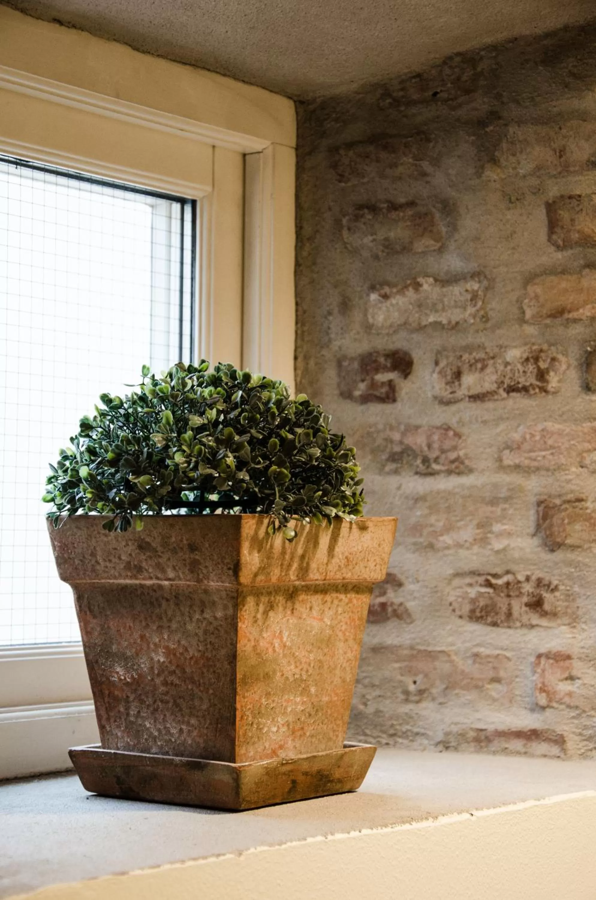 Property building in Hotel Vanilla