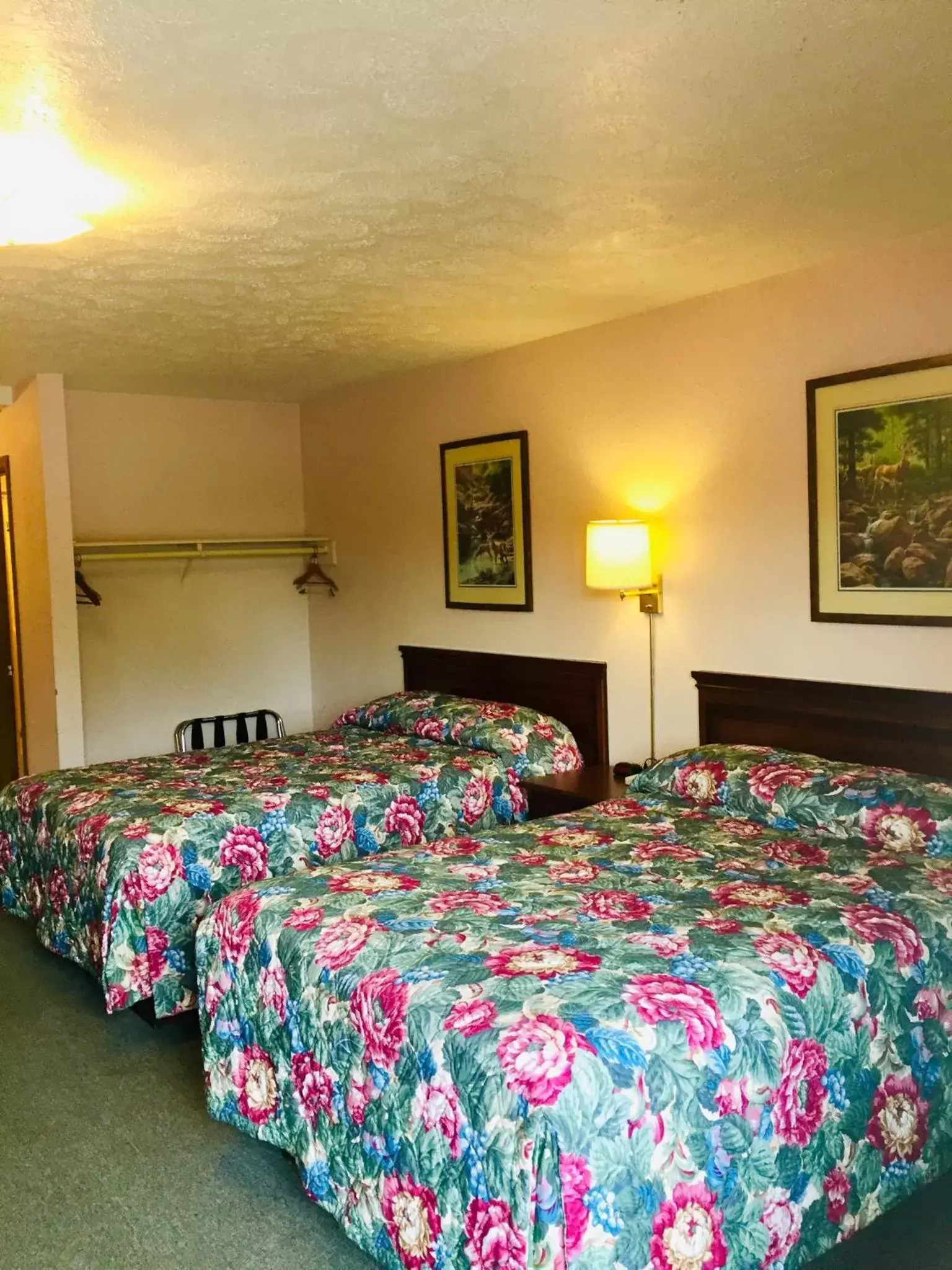 Bed in Mountain Country Motor Inn