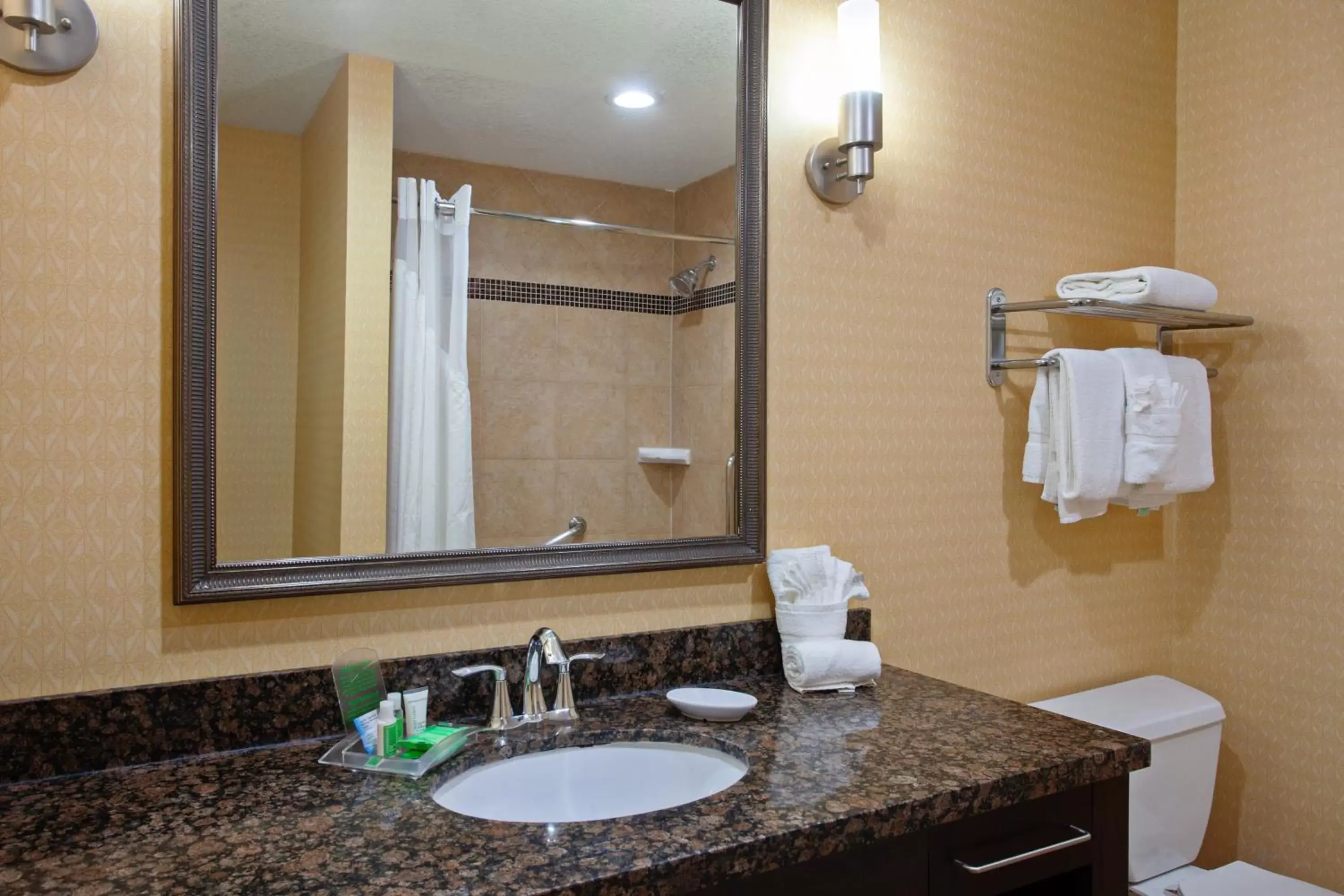 Bathroom in Holiday Inn & Suites San Mateo - SFO, an IHG Hotel