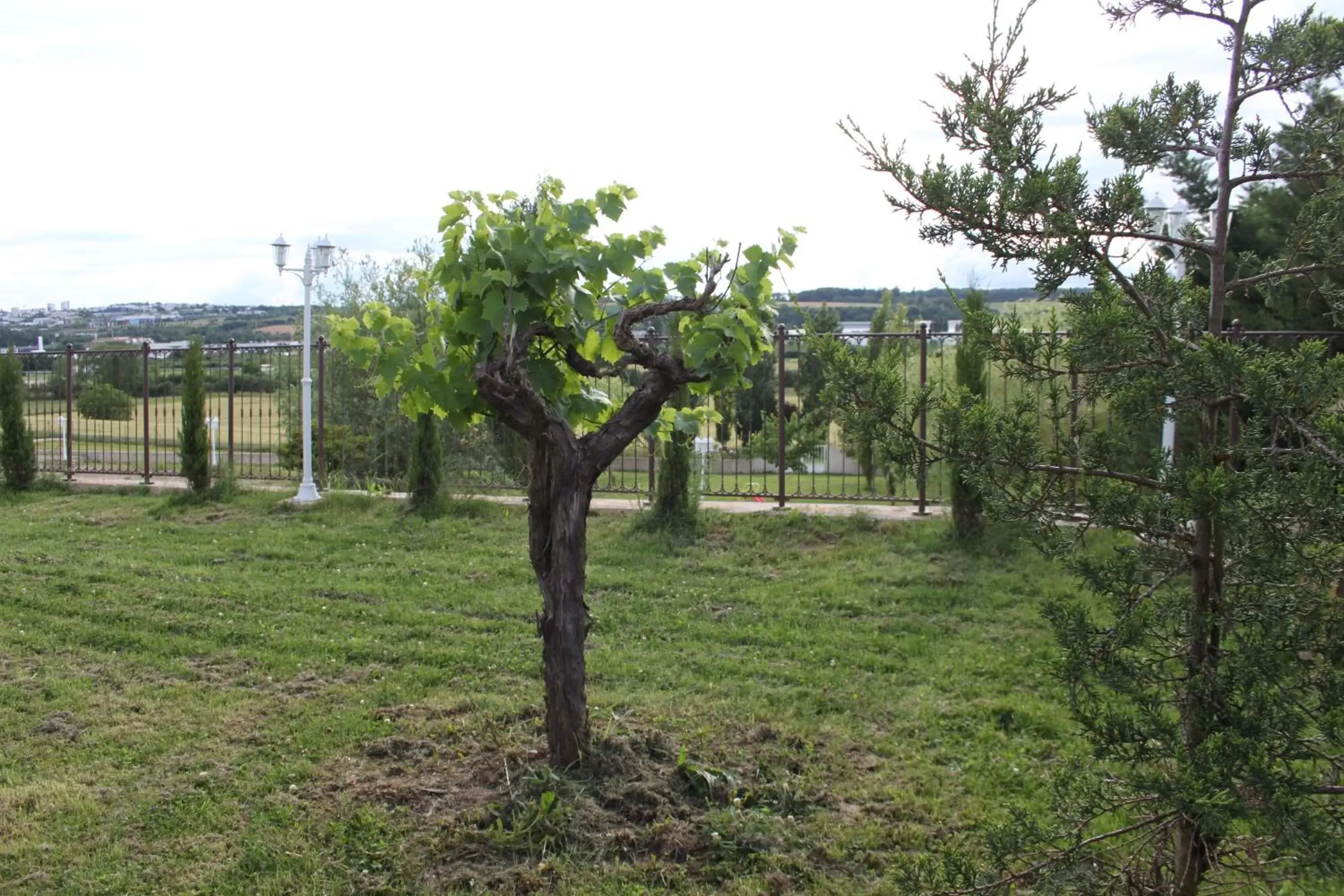 Garden, Property Building in Le Domaine des Archies