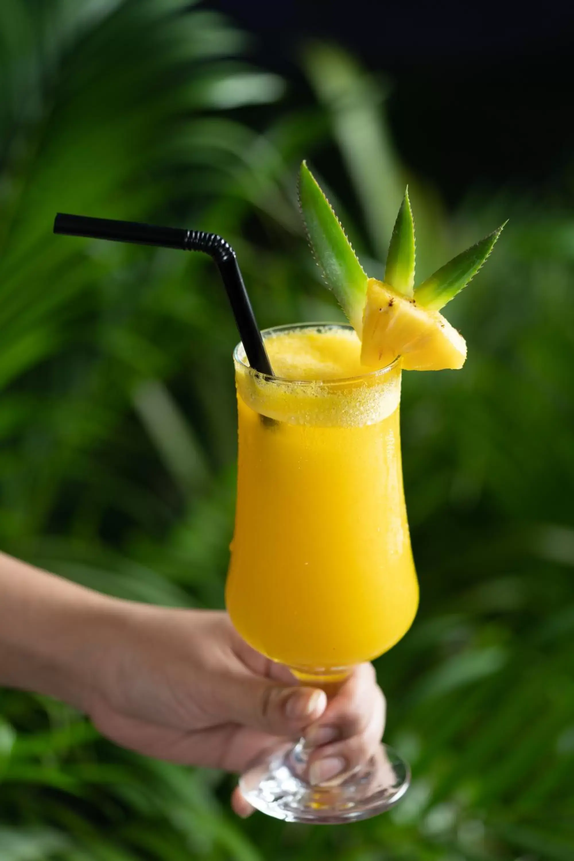 Restaurant/places to eat in Khmer House Resort Restaurant/places to eat in Khmer House Resort