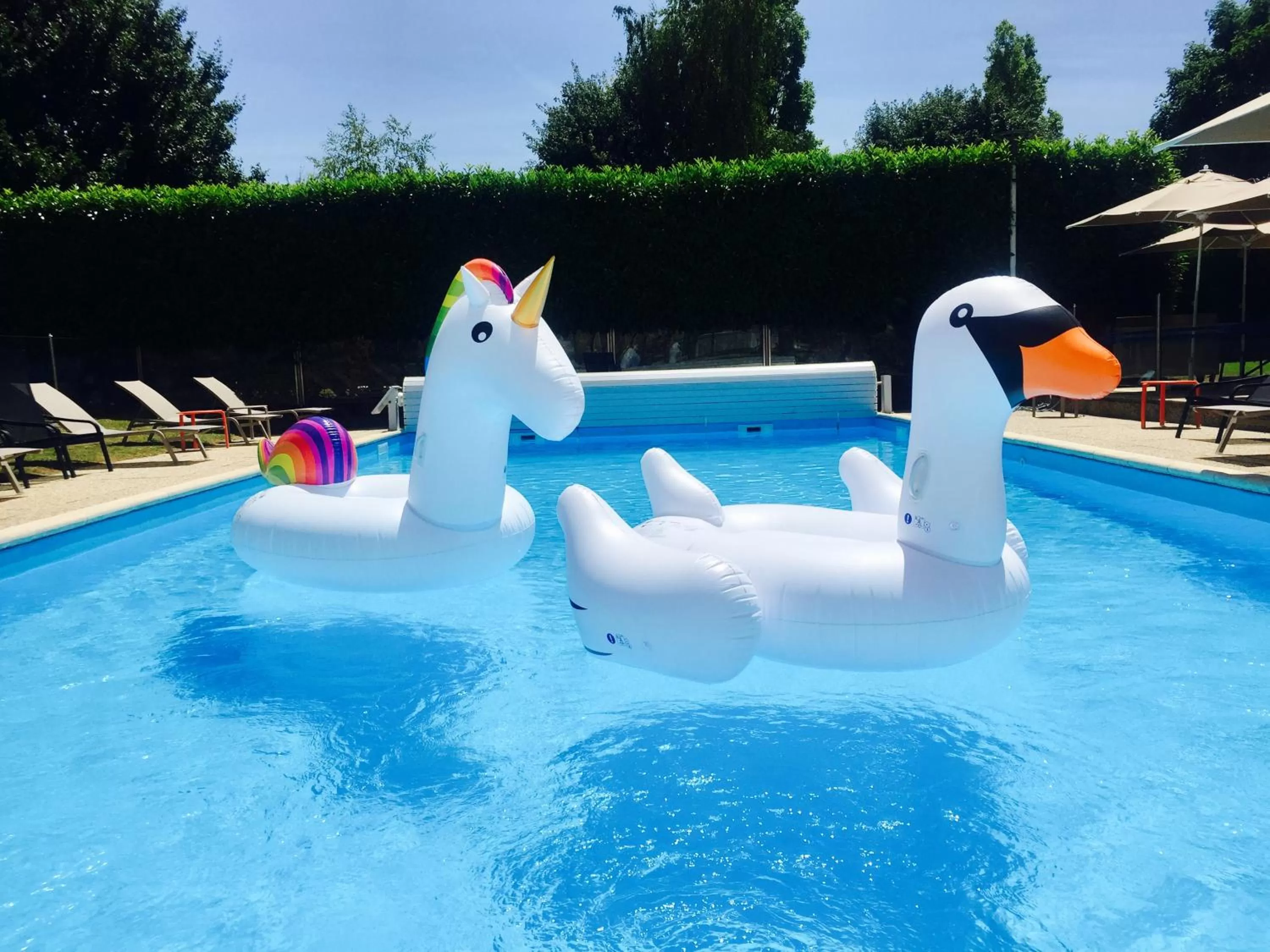 Garden in Novotel Bourges