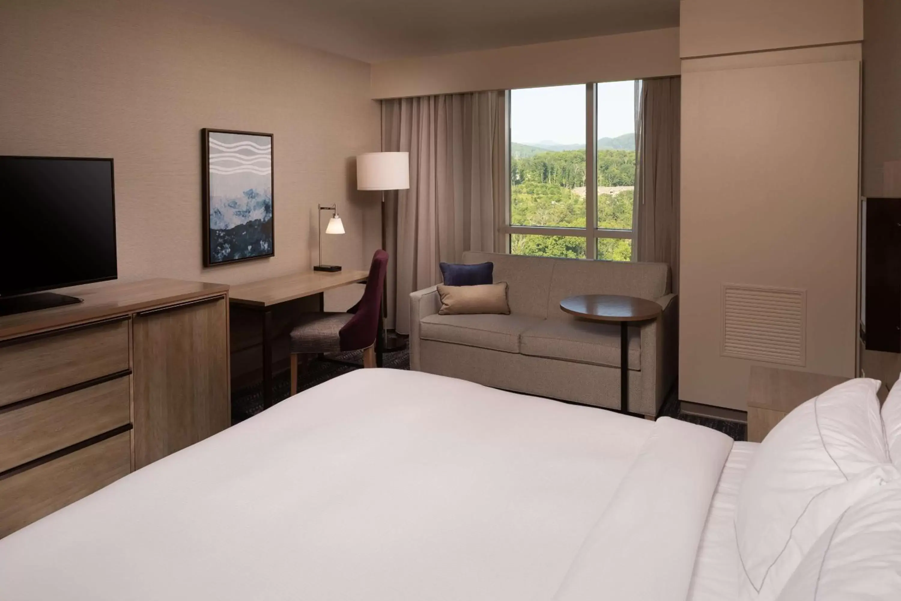Bedroom, Bed in Hilton Asheville Biltmore Park