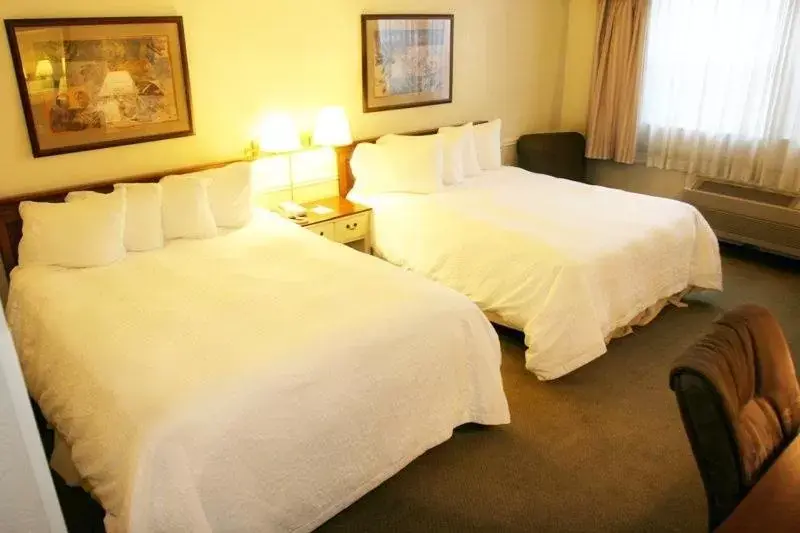 Queen Room with Two Queen Beds - Pet Friendly/Non-Smoking in Baymont by Wyndham Provo River