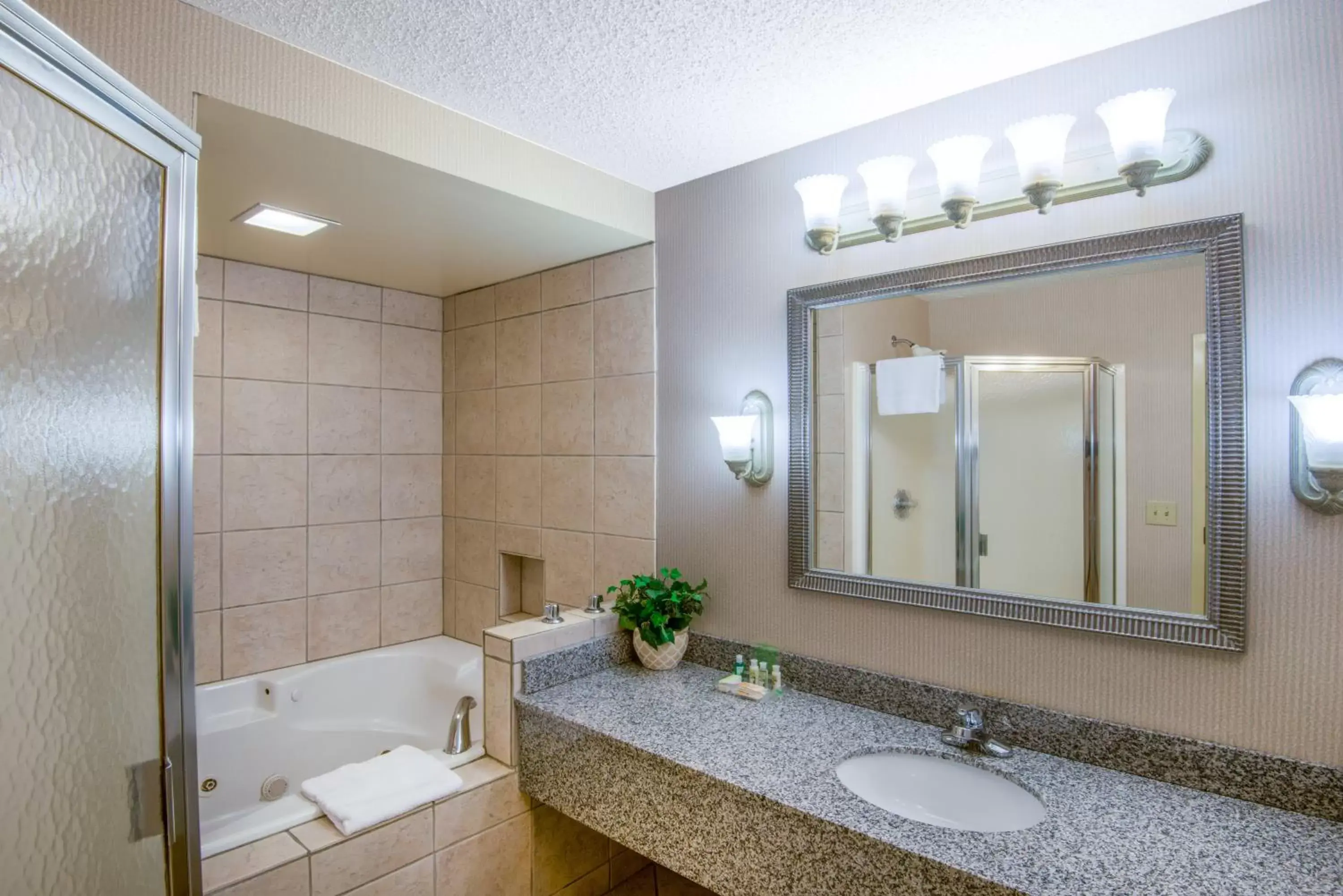 Bathroom in Holiday Inn Riverton-Convention Center, an IHG Hotel