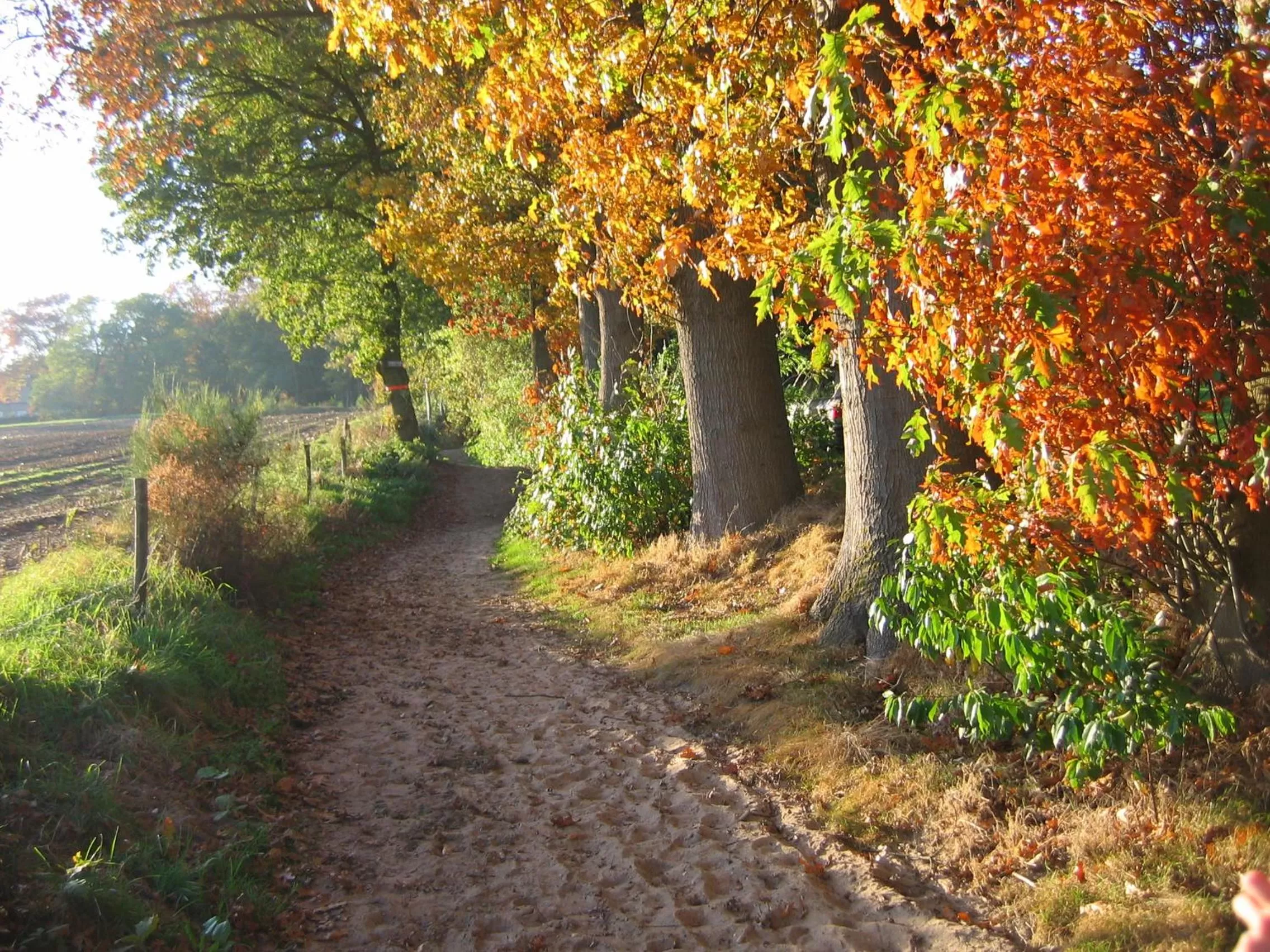Natural landscape in Hotel Hof van Gelre by Flow