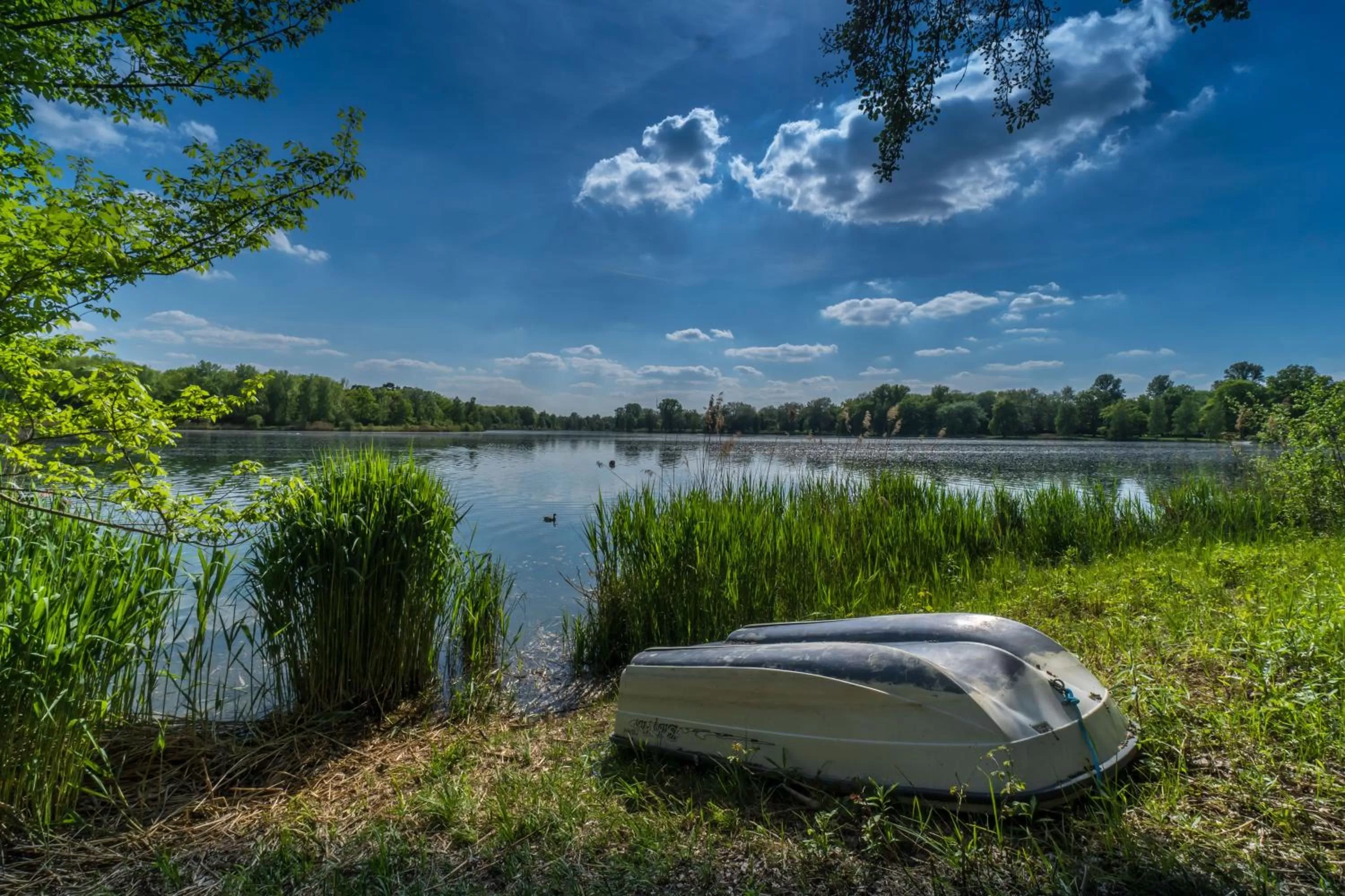 Natural landscape in Altstadthotel Guesthouse Die Galerie