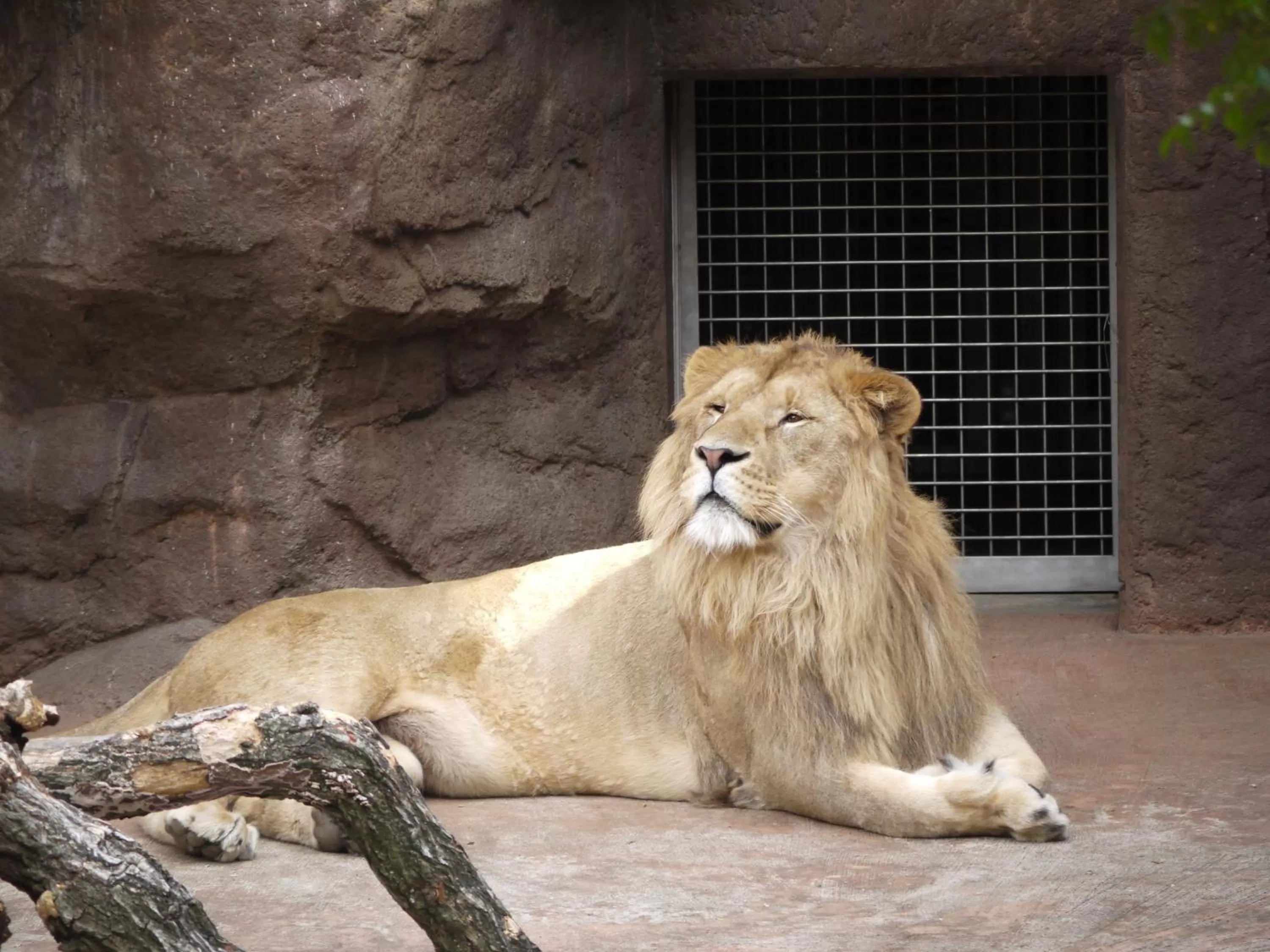 Nearby landmark in Hotel Wing International Select Osaka Umeda