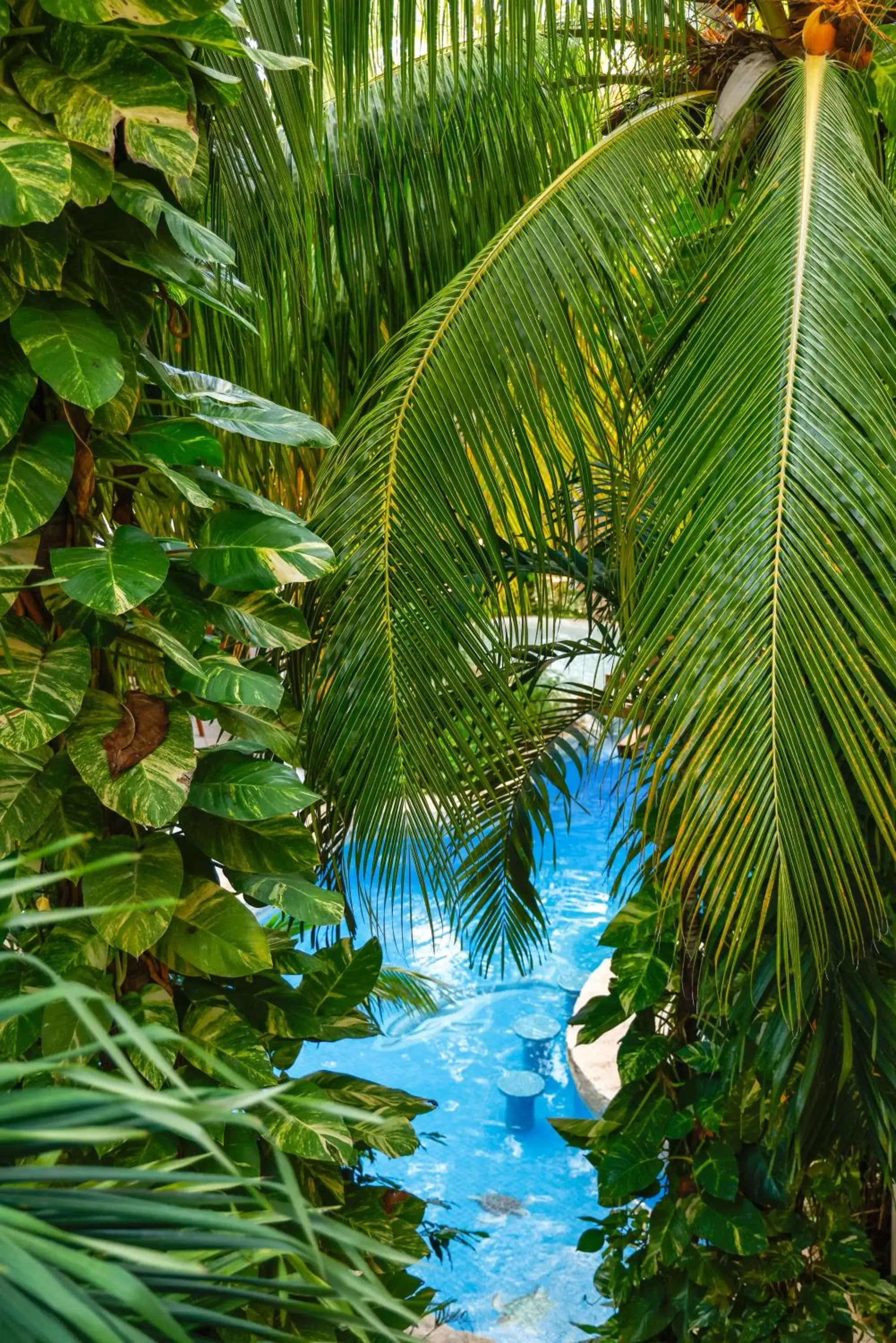 Natural landscape, Pool View in Hotel Hulku