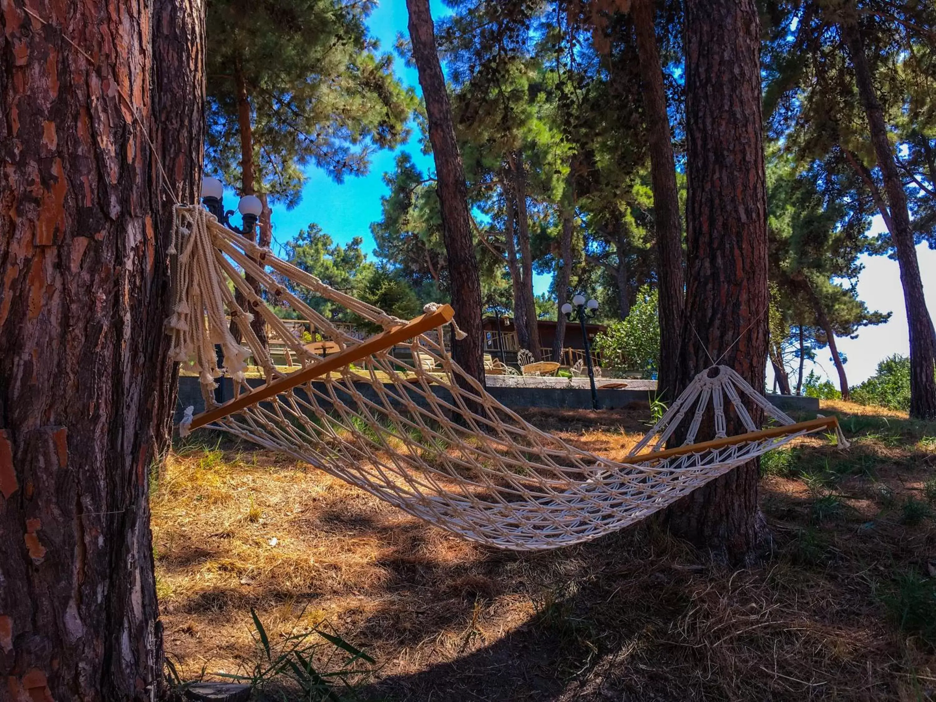 Garden in Troia Tusan Hotel