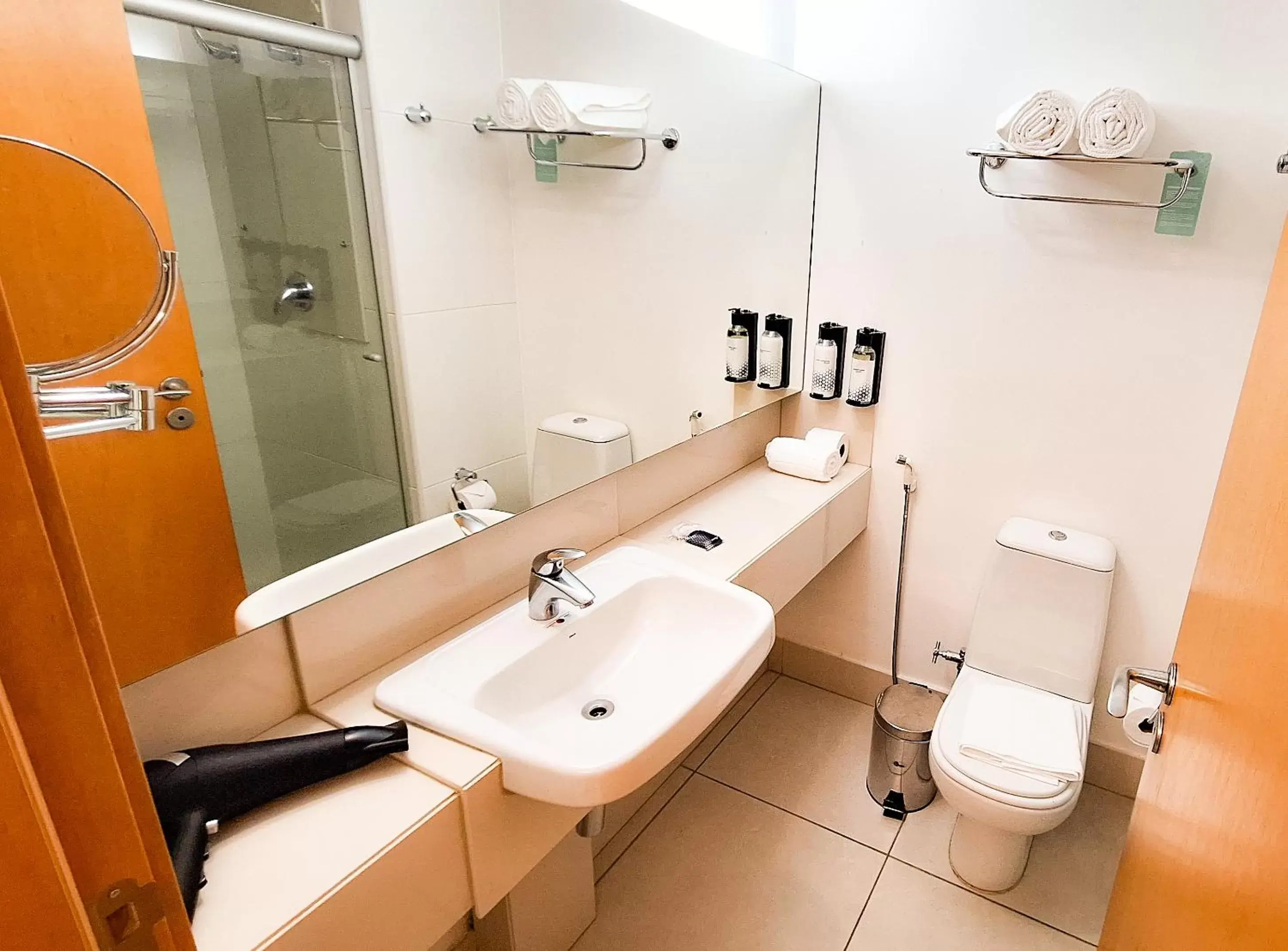 Bathroom in Hilton Garden Inn Belo Horizonte Lourdes