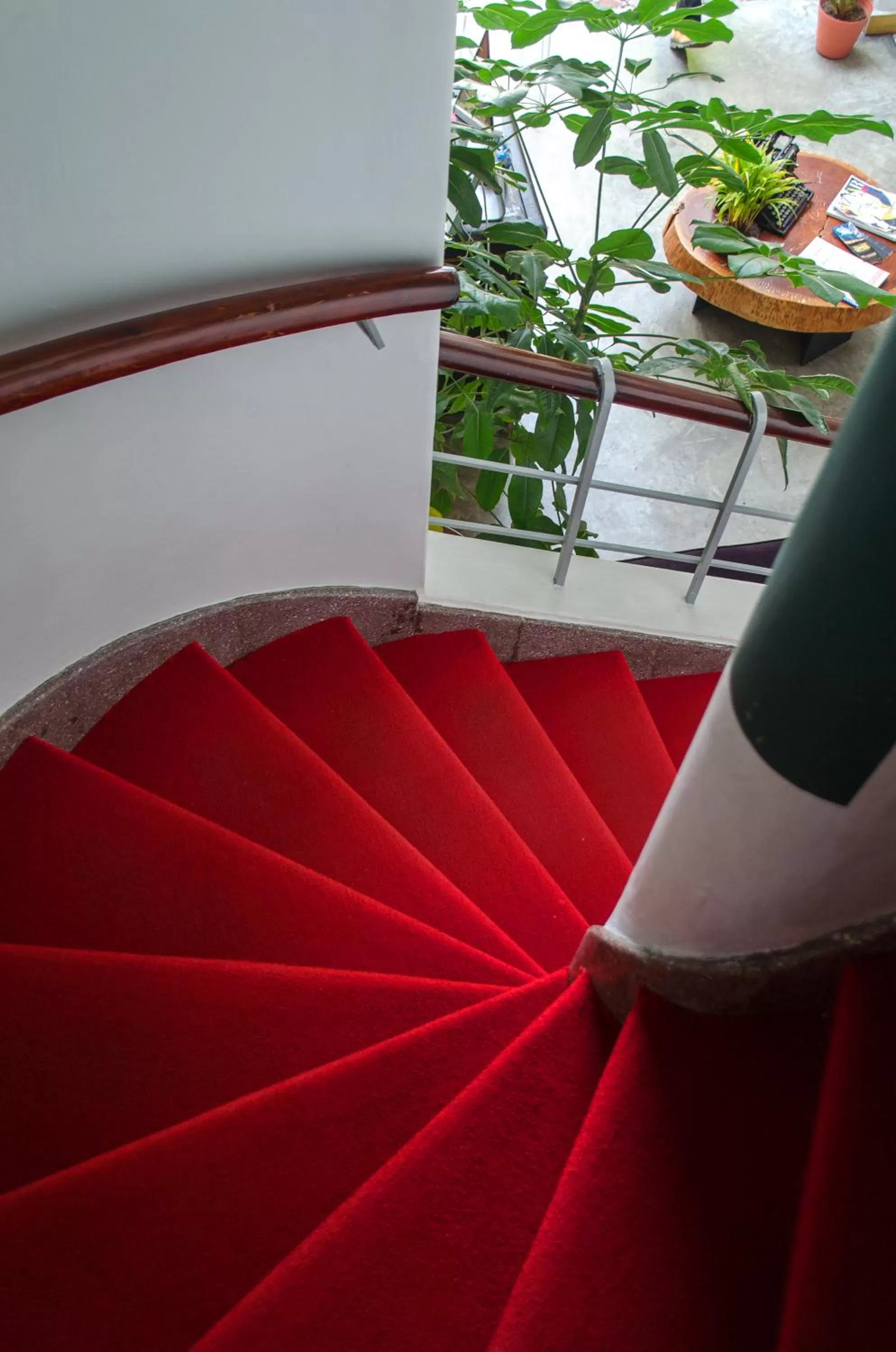 Other in VL Hotel Boutique Consulado Chapu Guadalajara