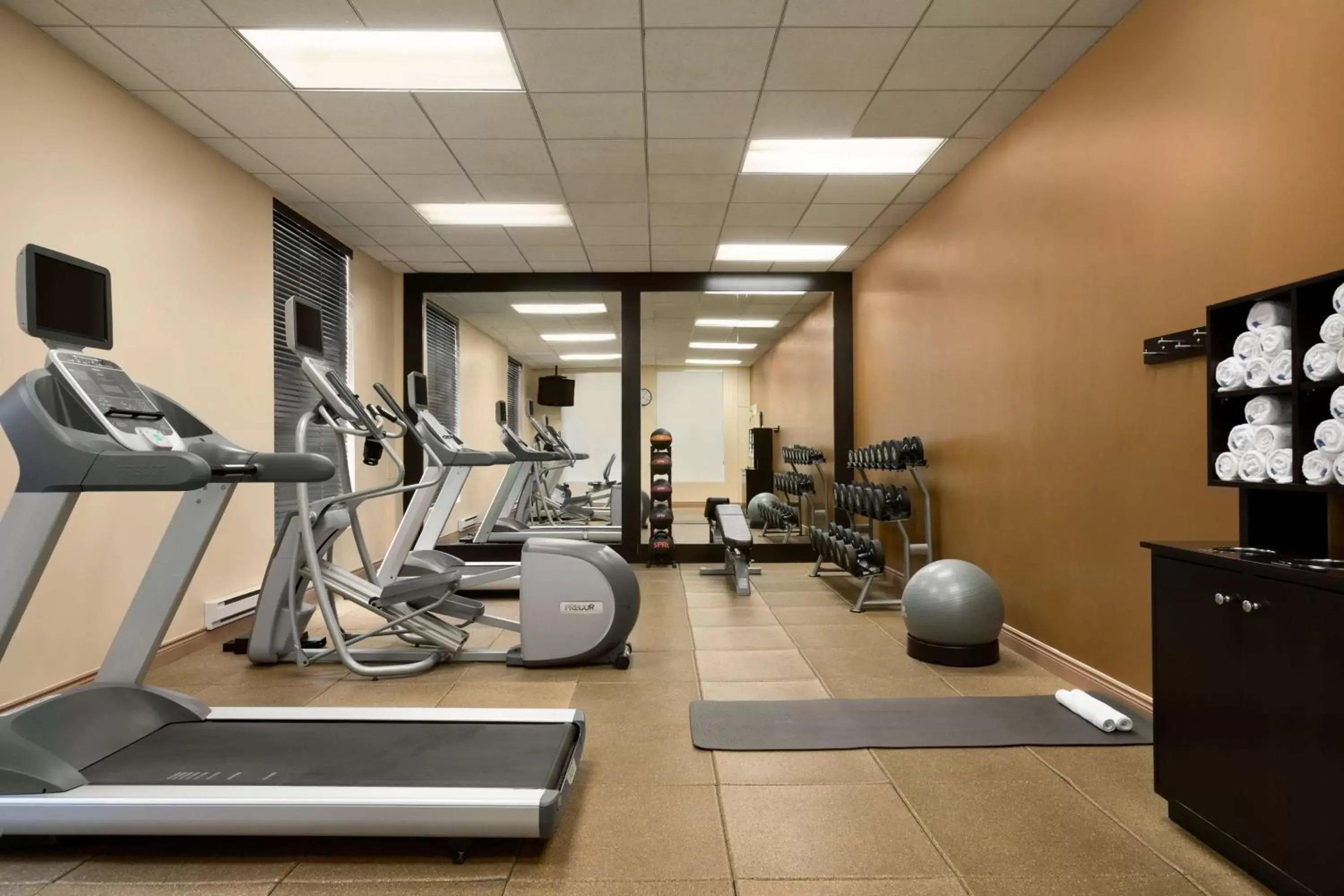 Fitness centre/facilities, Fitness Center/Facilities in Hilton Garden Inn Toronto/Vaughan