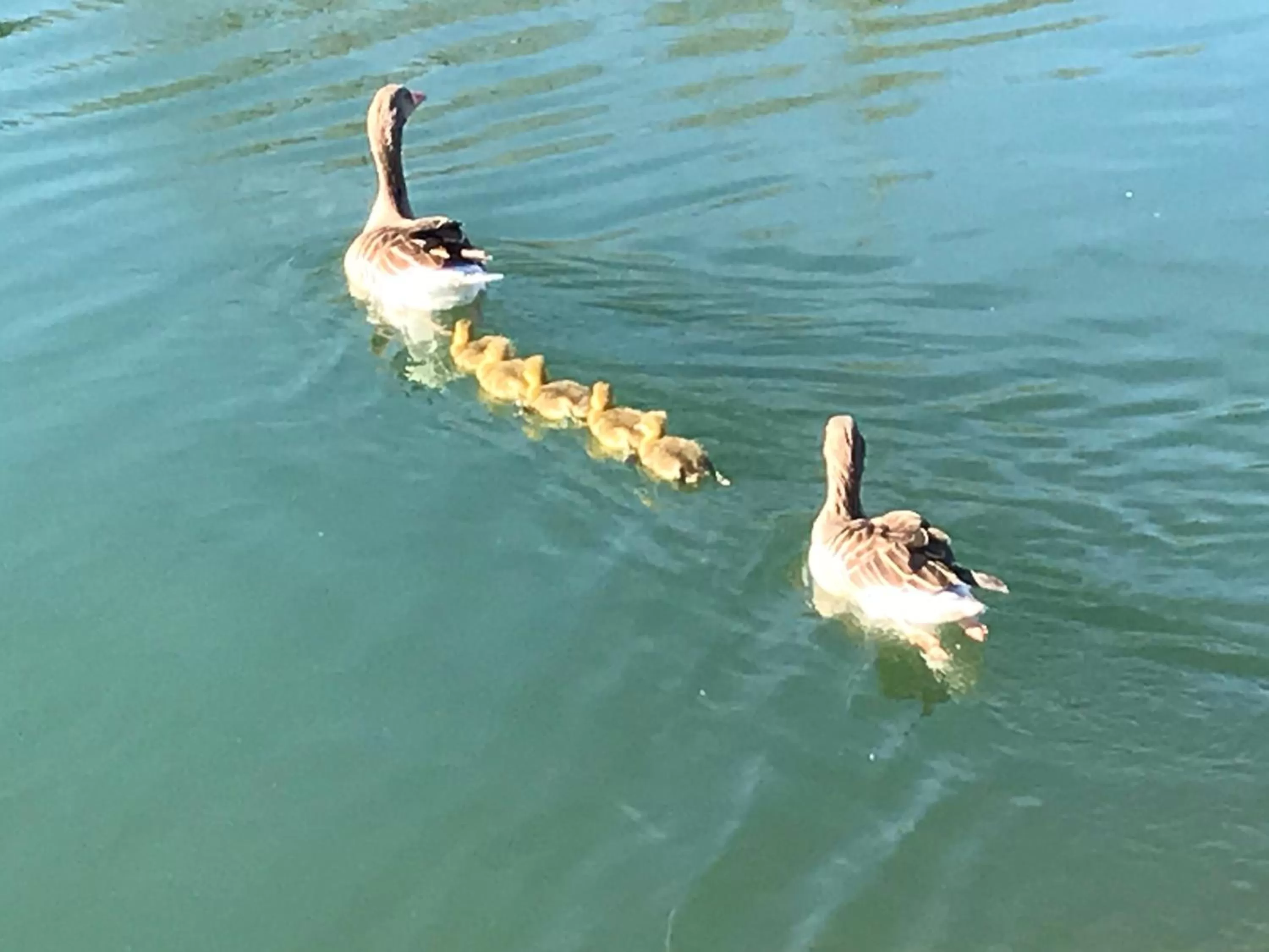 Hiking in Bed and Breakfast Bavaria München