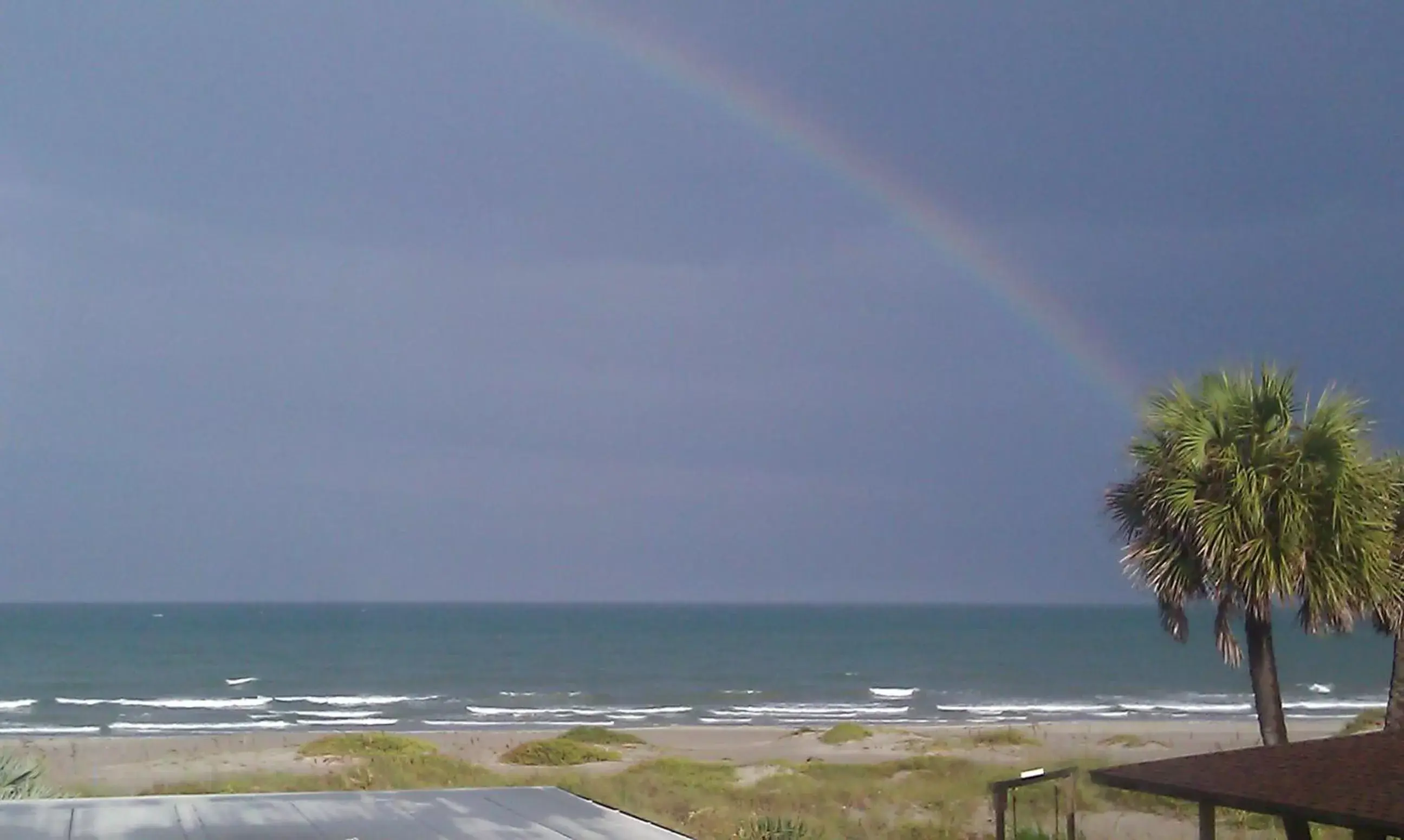 Day, Beach in Sea Aire Oceanfront Inn