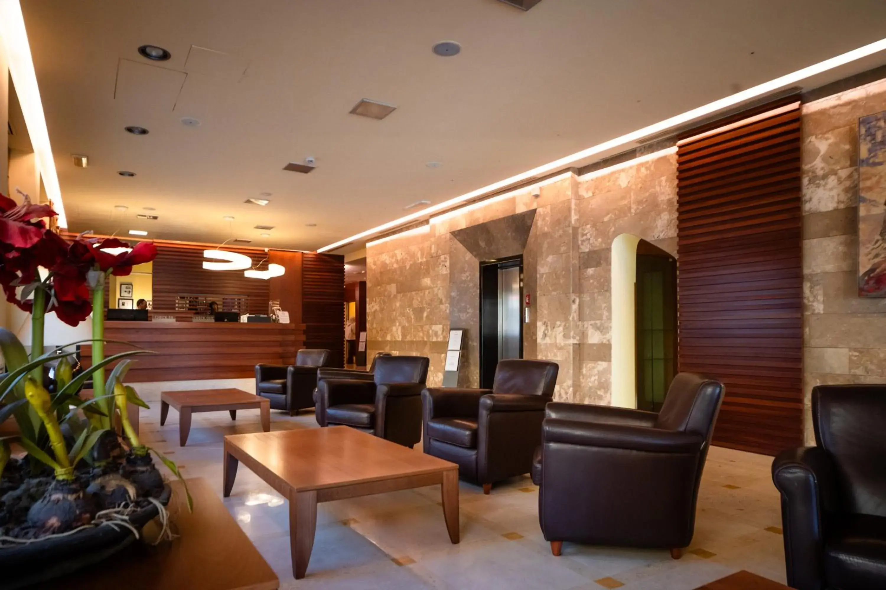 Lobby or reception, Lounge/Bar in Hotel Airone