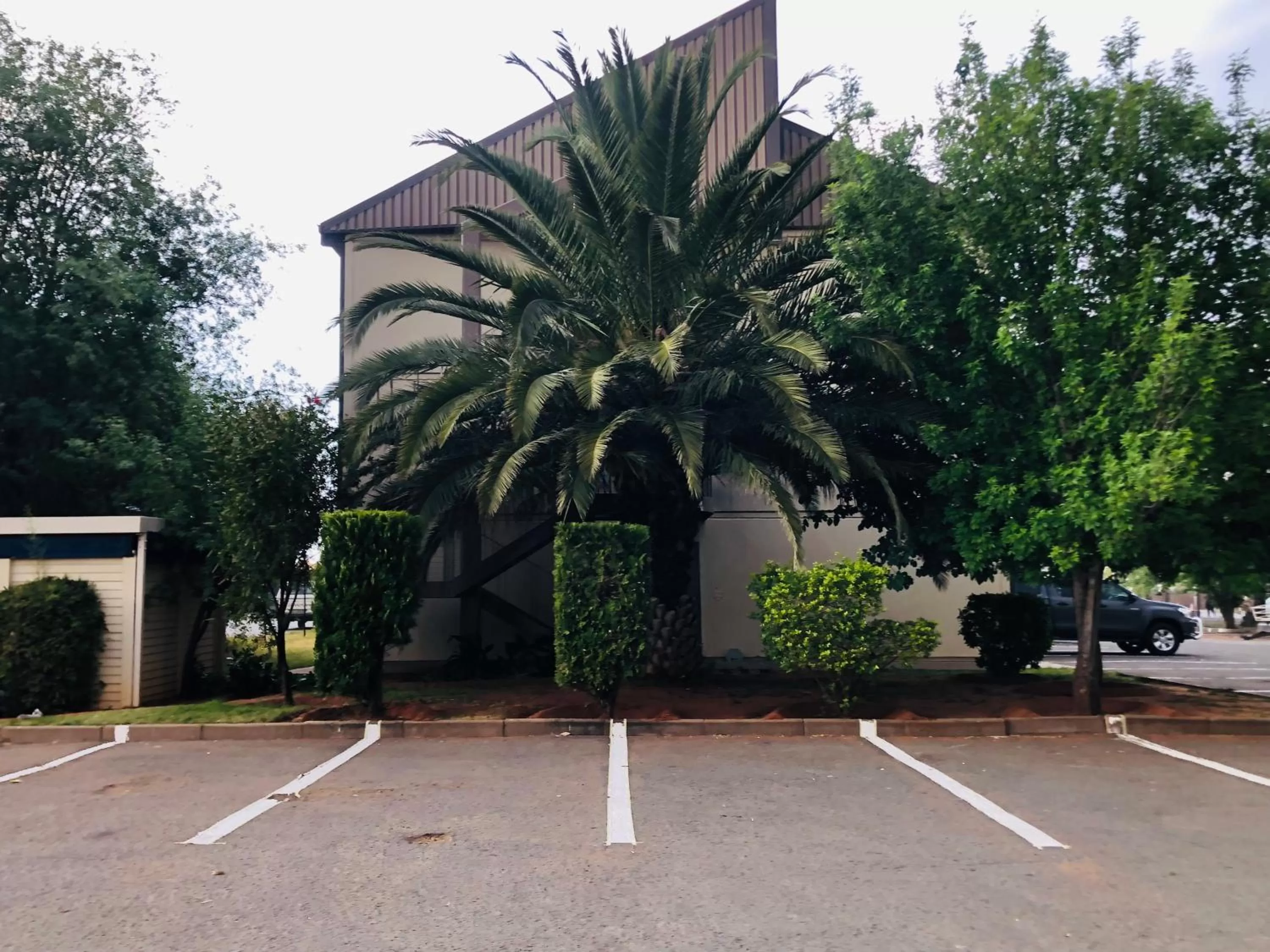 Garden in SUN1 Kimberley