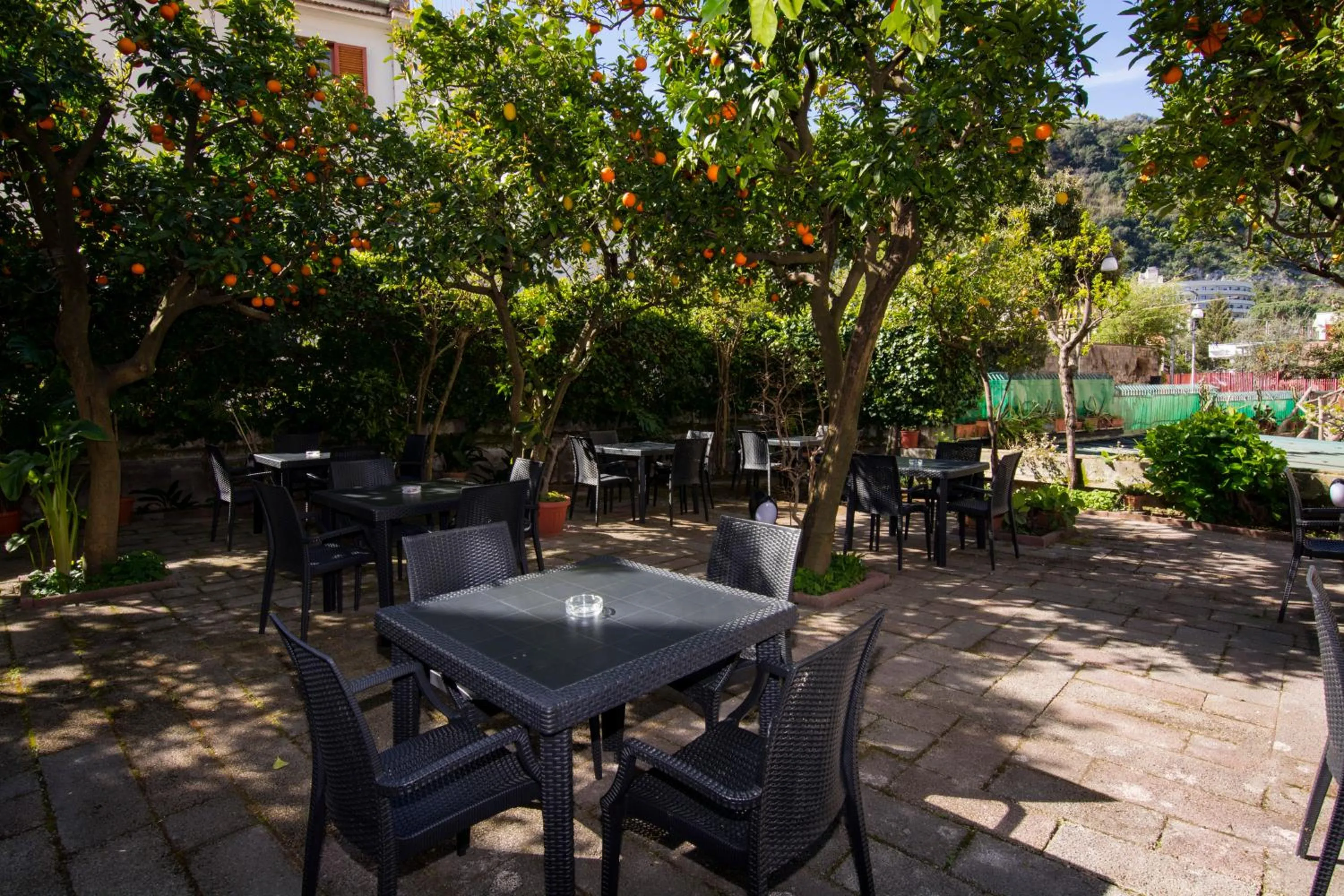 Garden in Hotel Leone