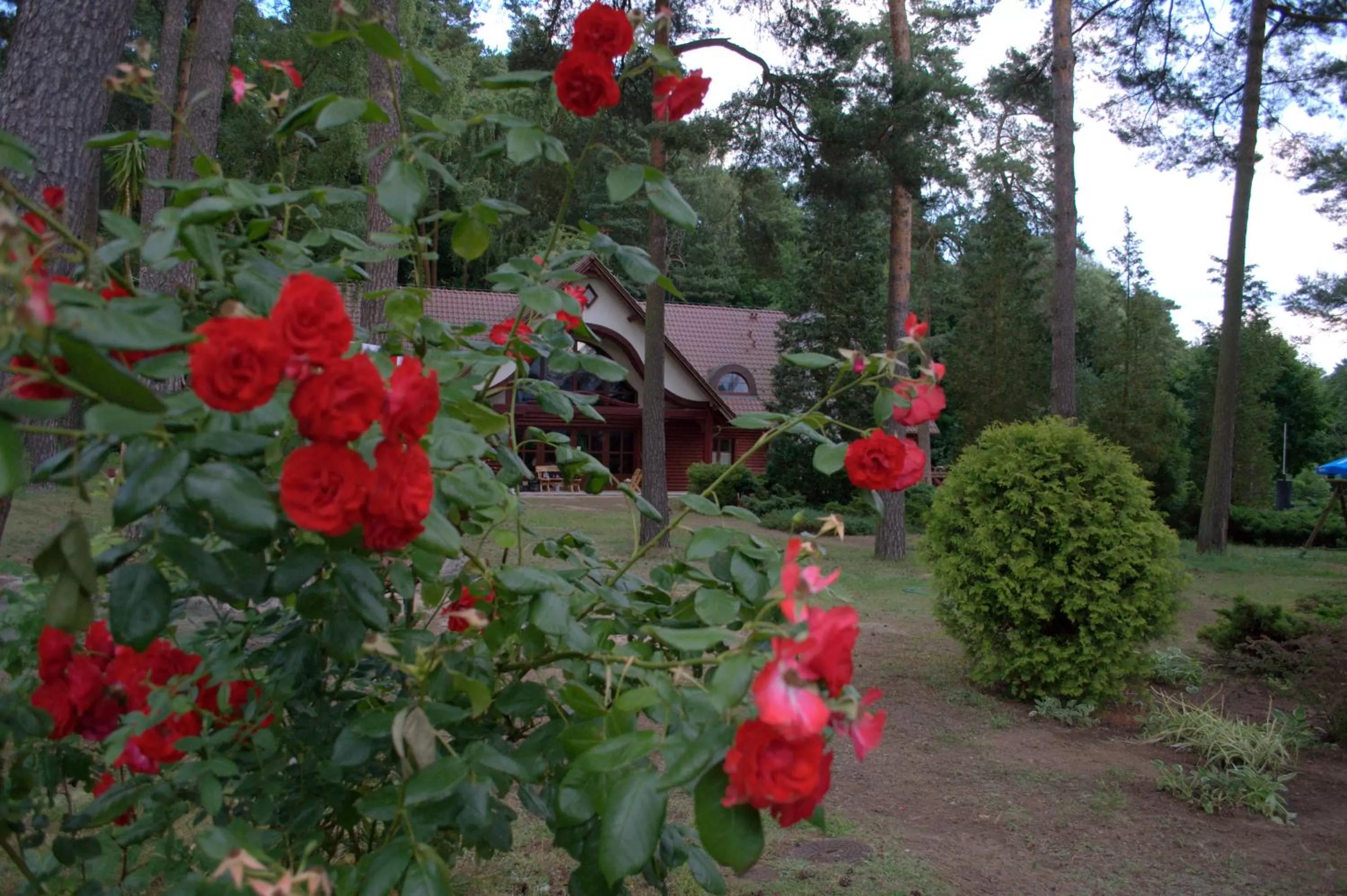 Garden in 4 Pory Roku Resort Sauna & Spa