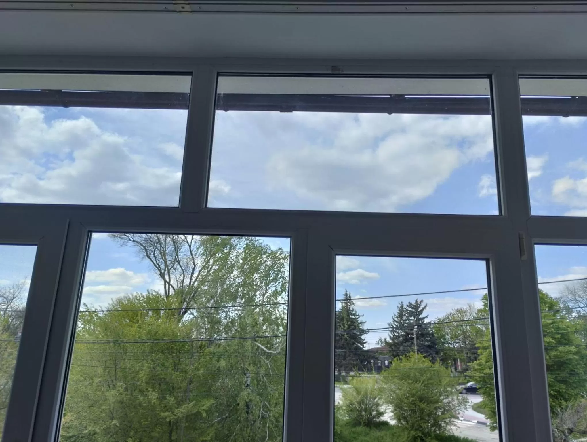 Garden view in PARK-hotel