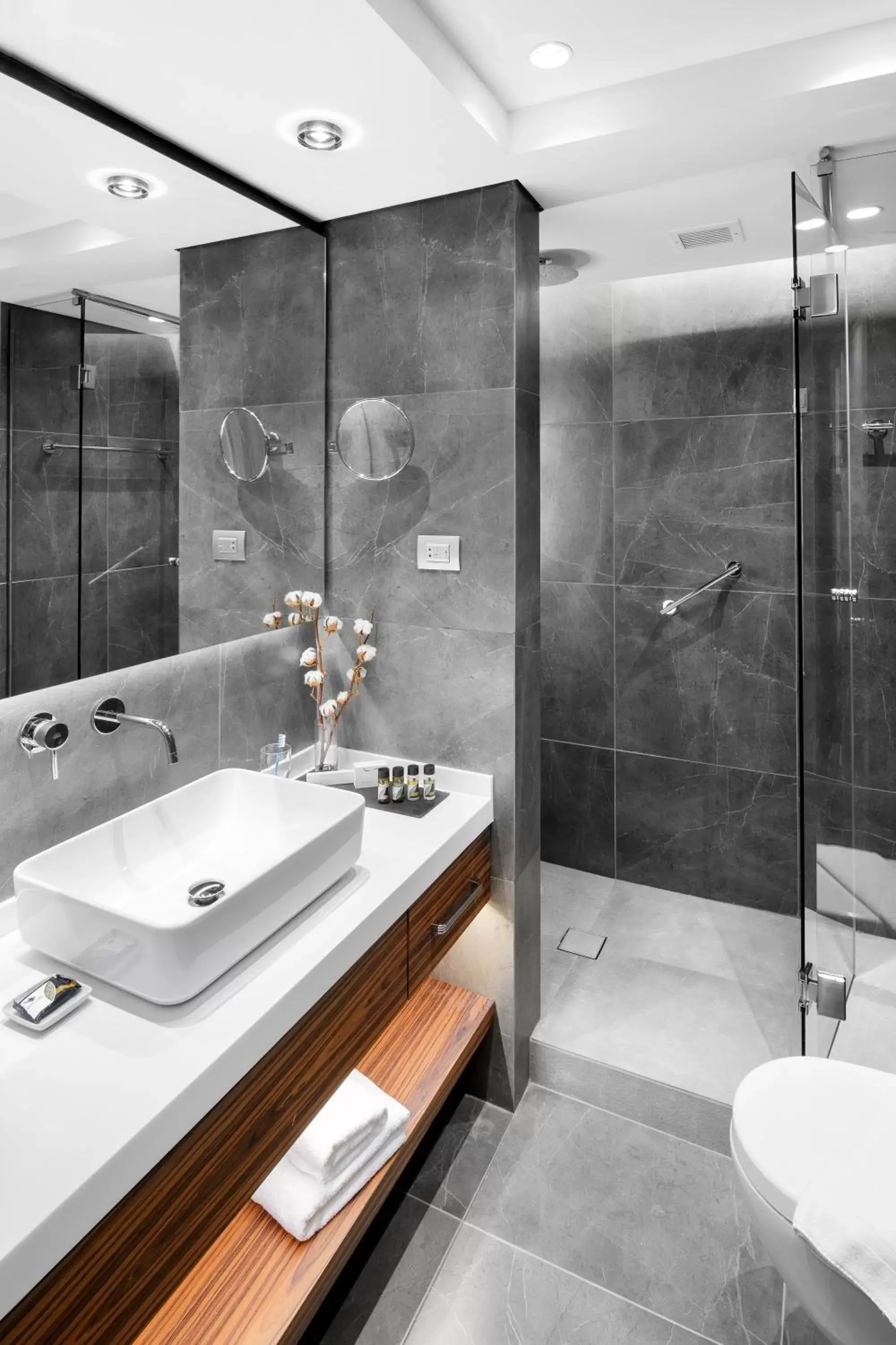 Shower, Bathroom in Mediterranean Palace