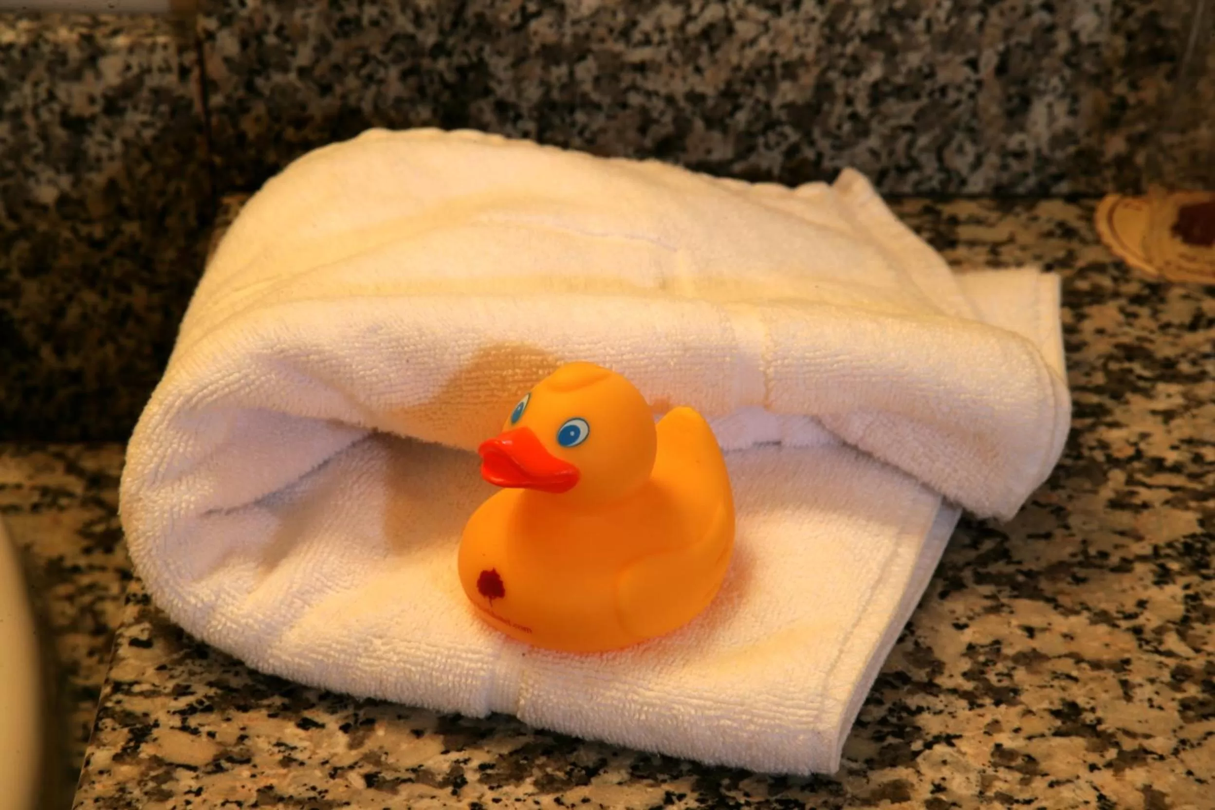 Bathroom in Bush Hotel