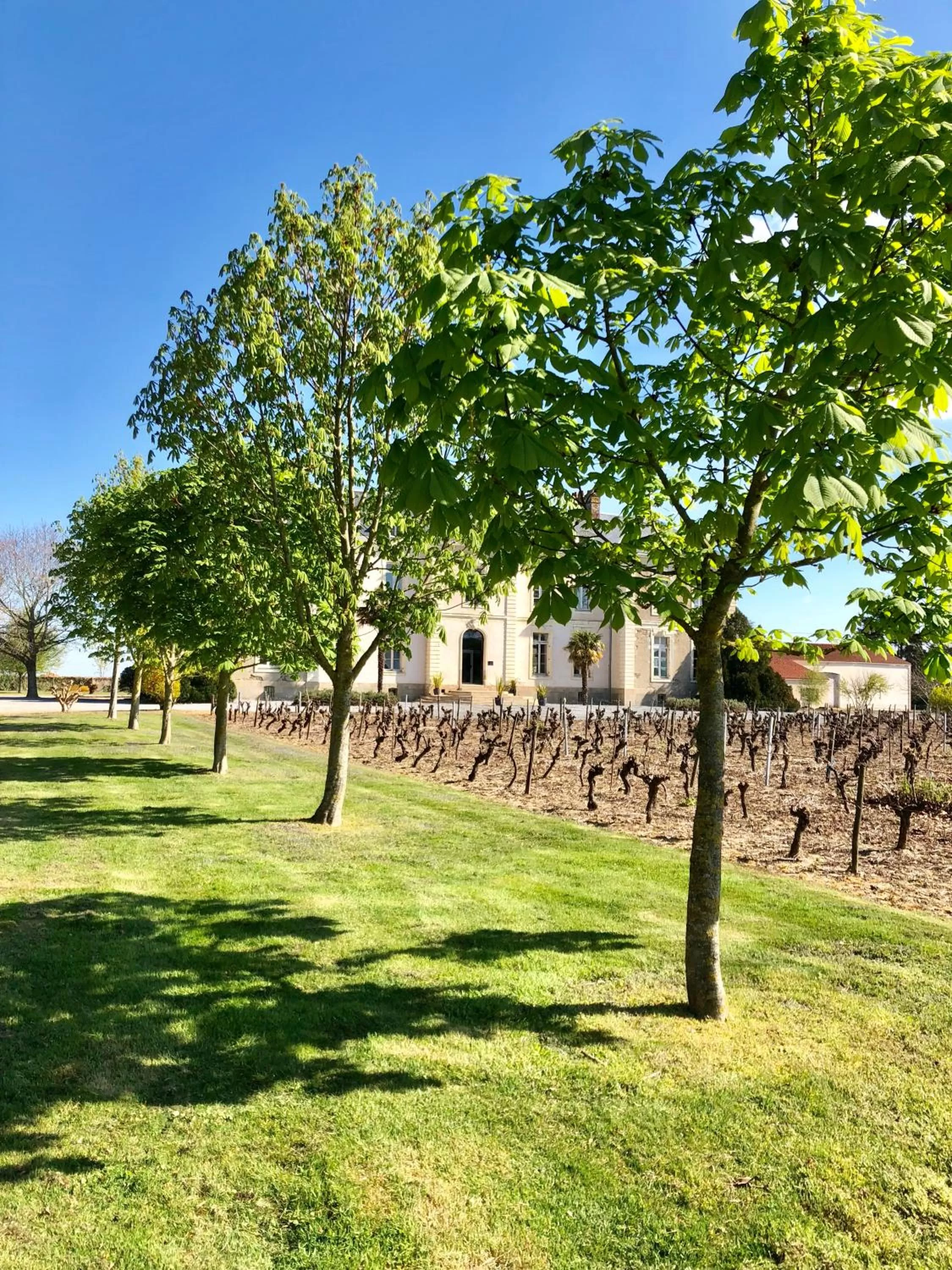Property building in Hôtel Particulier CHÂTEAU DES MARAIS Proximité et vue sur le Lac de Grand lieu