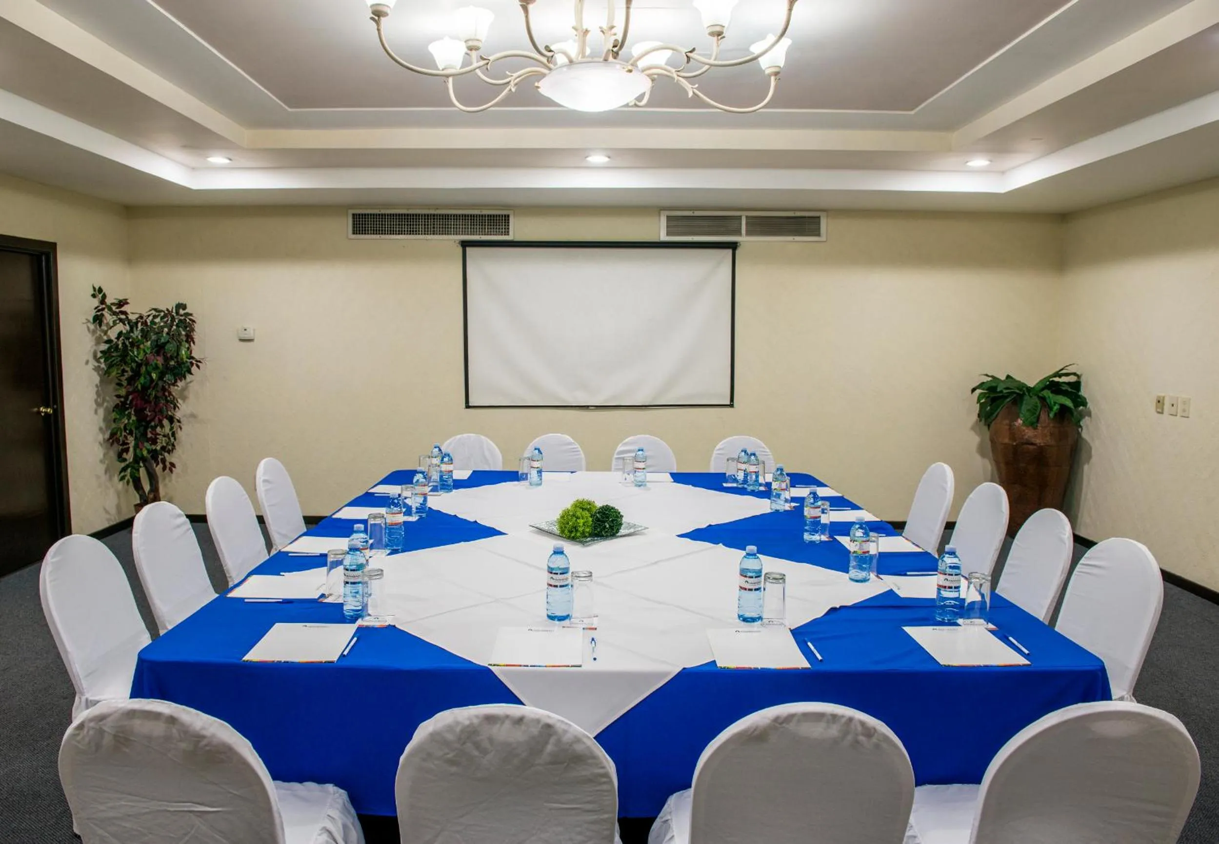 Banquet/Function facilities in Aranzazu Plaza Kristal Aguascalientes