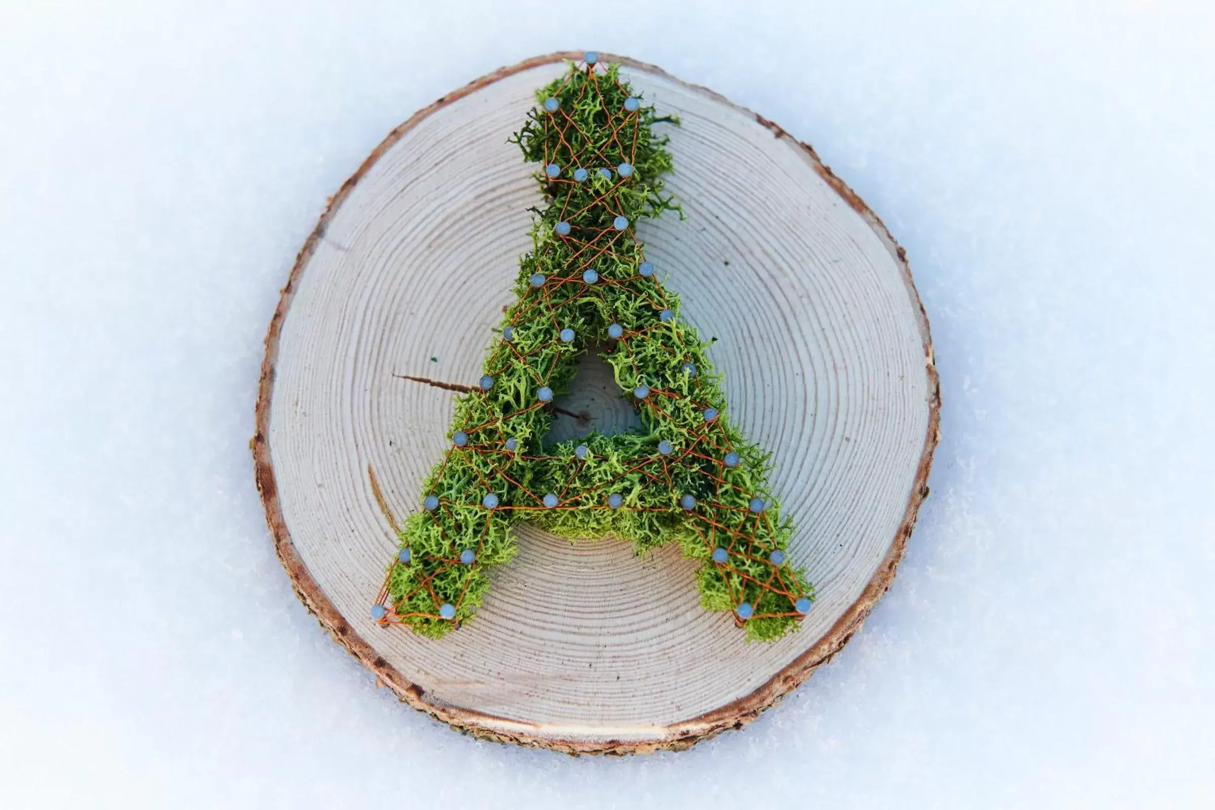 Winter, Bird's-eye View in Berghaus Alpenrösli