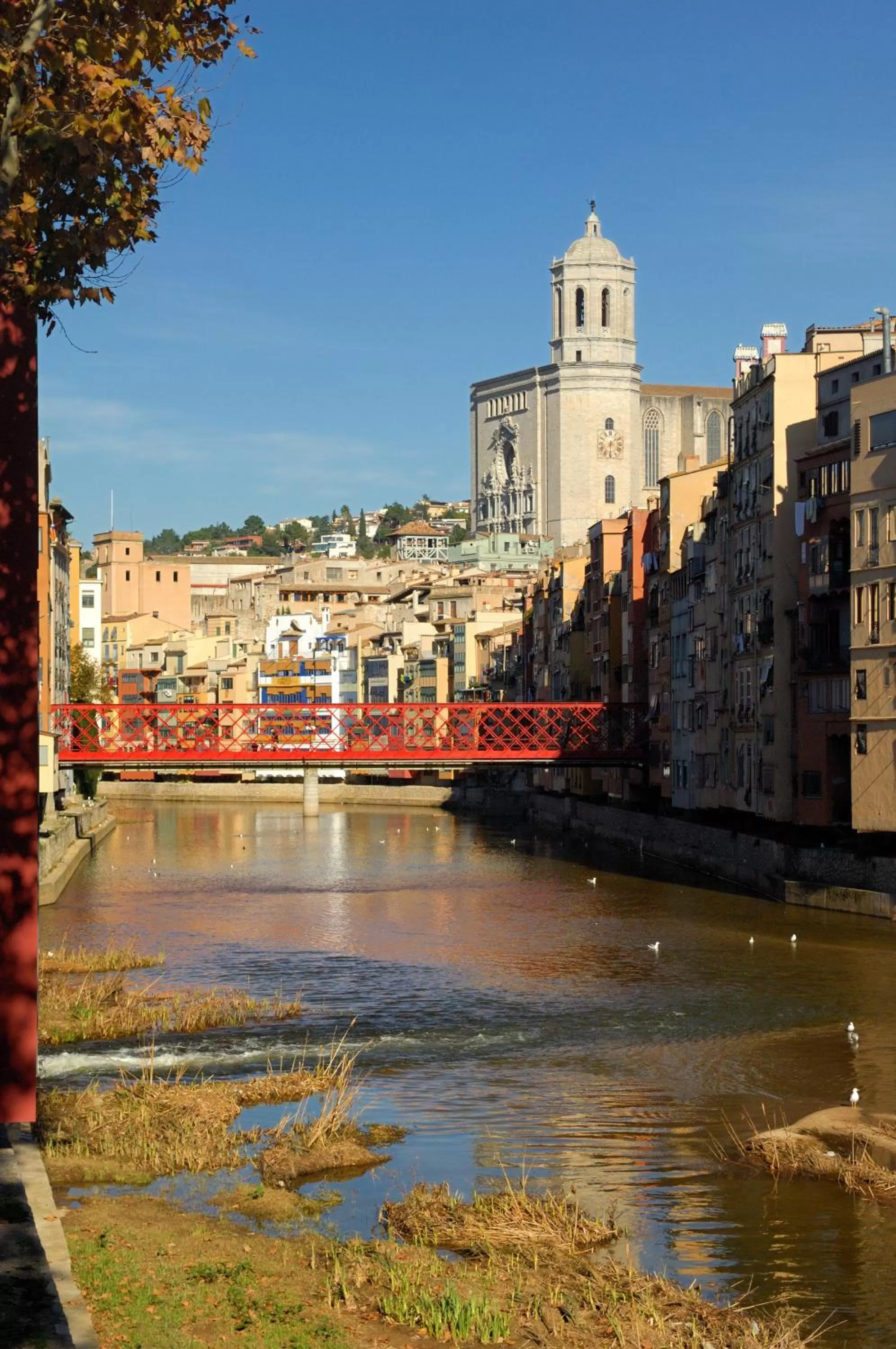 Area and facilities in Best Western Premier CMC Girona