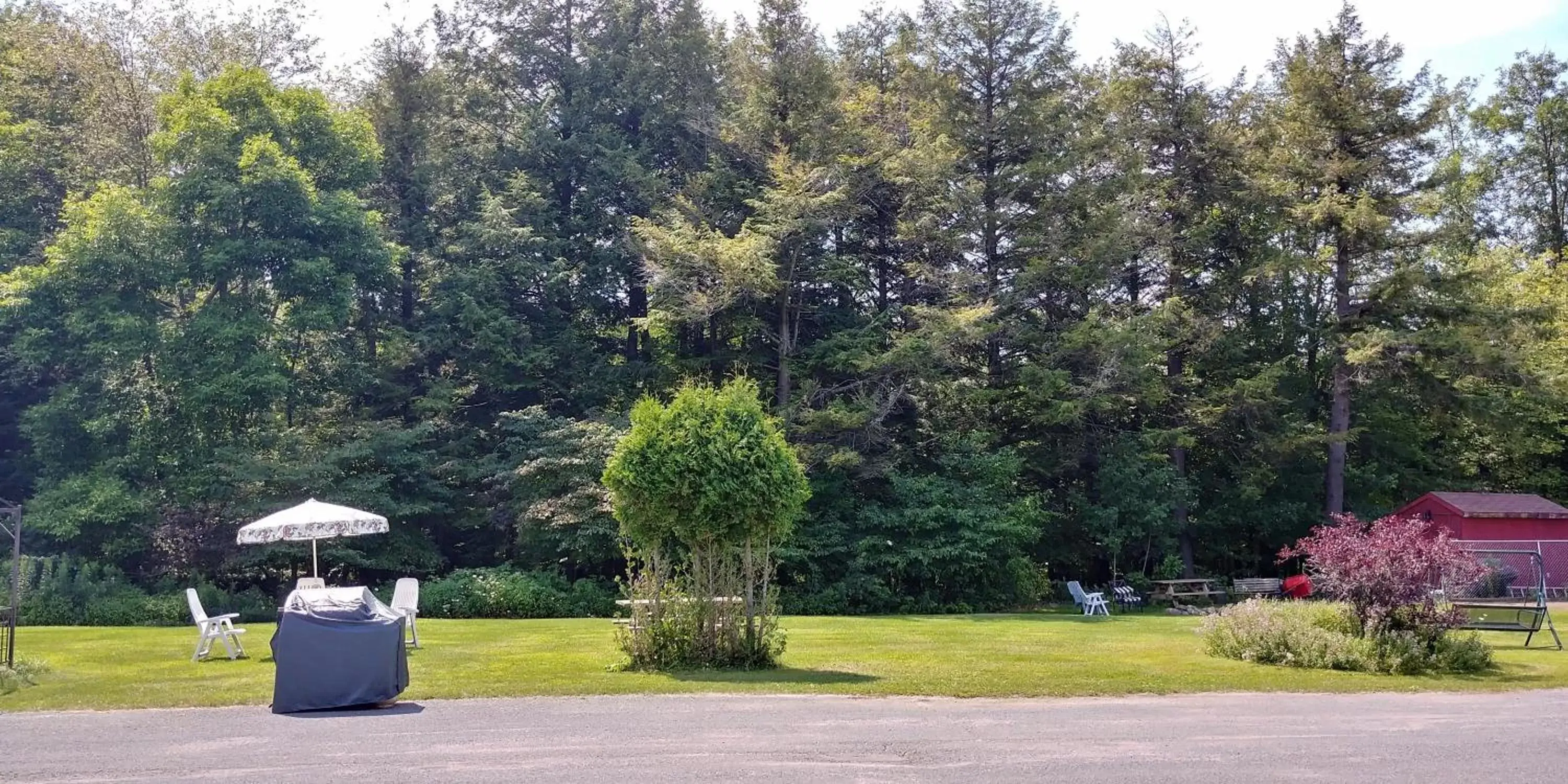 Garden in Martin's Inn