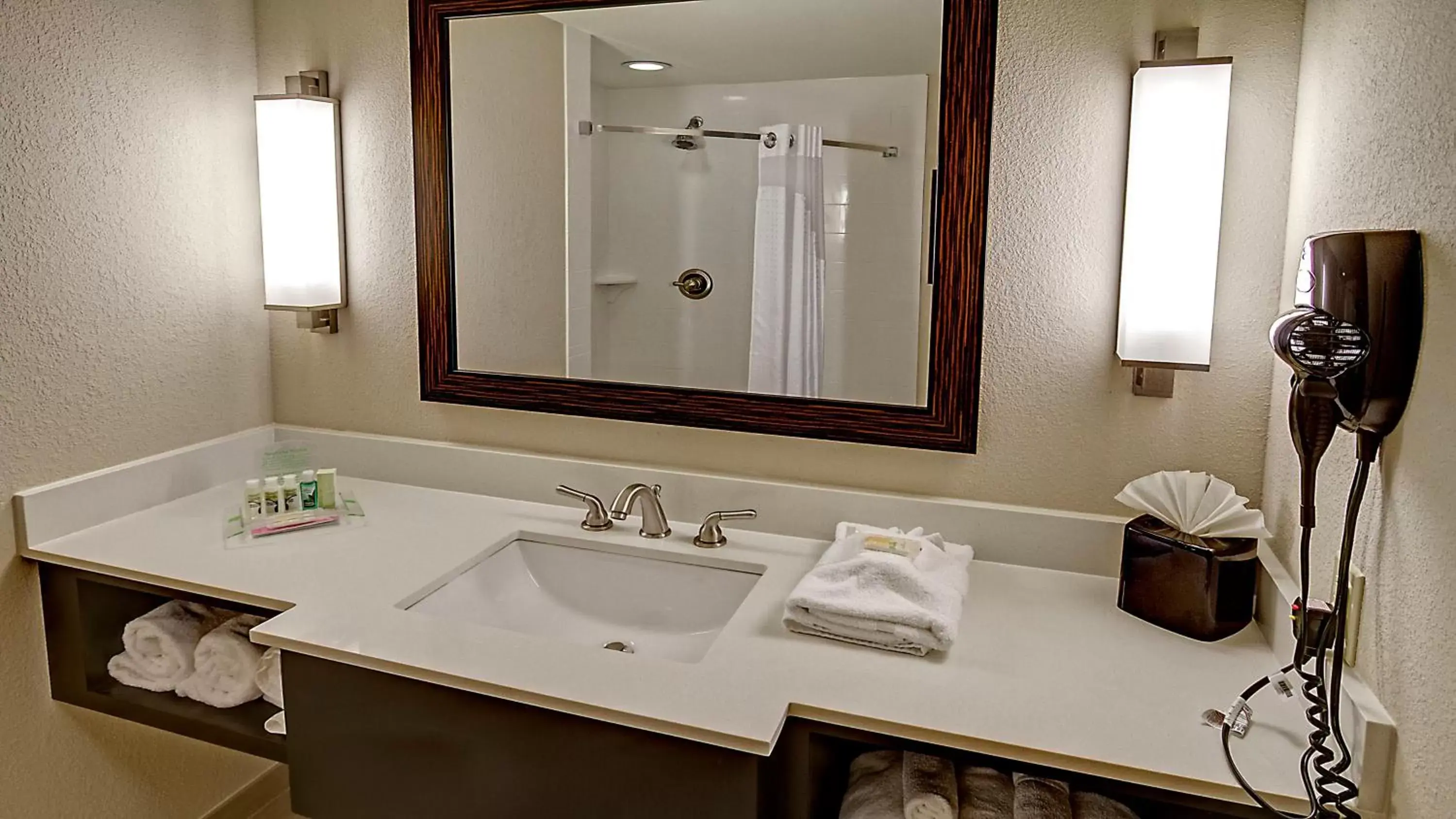 Bathroom in Holiday Inn & Suites Tupelo North, an IHG Hotel
