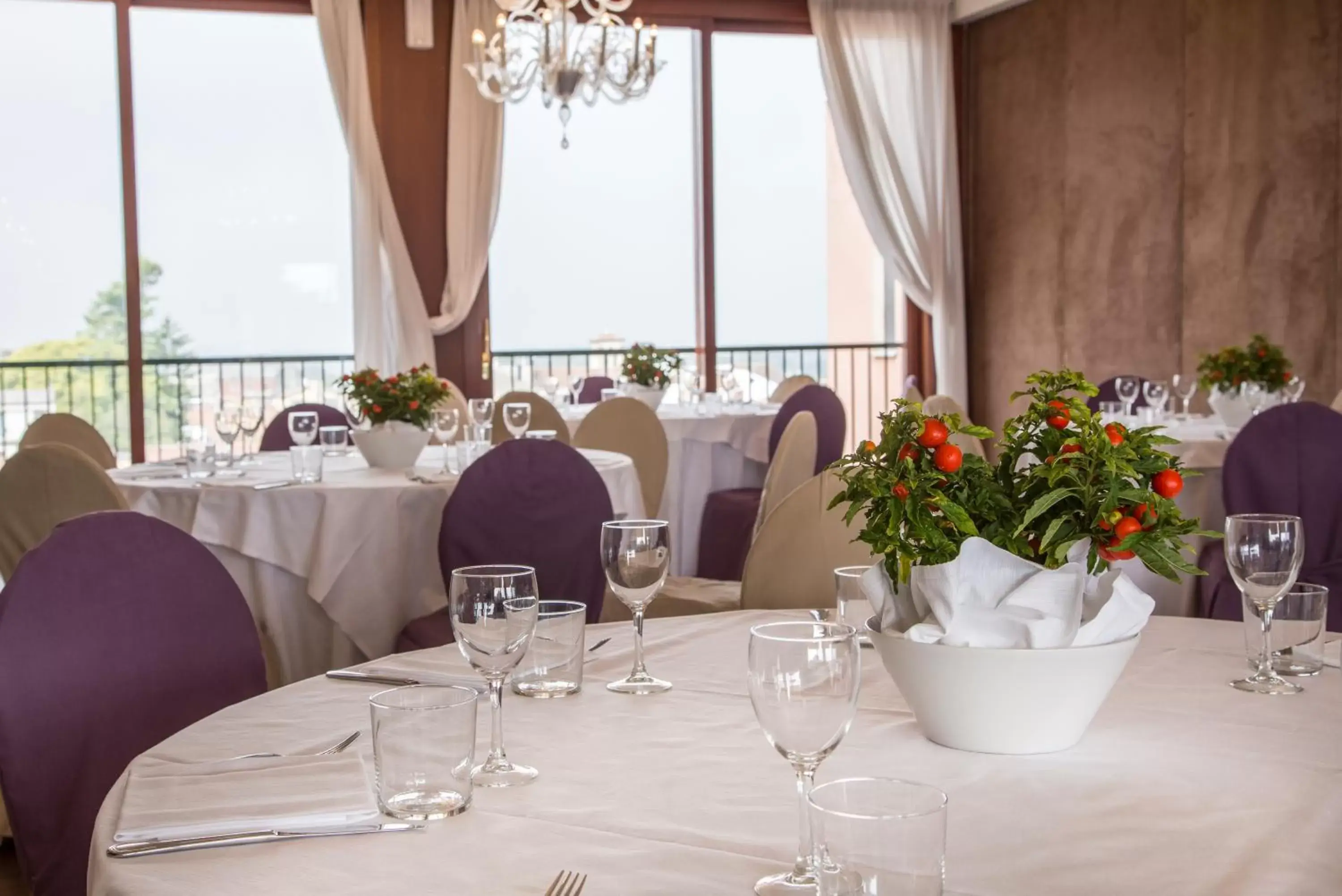 Restaurant/Places to Eat in Grande Albergo Roma