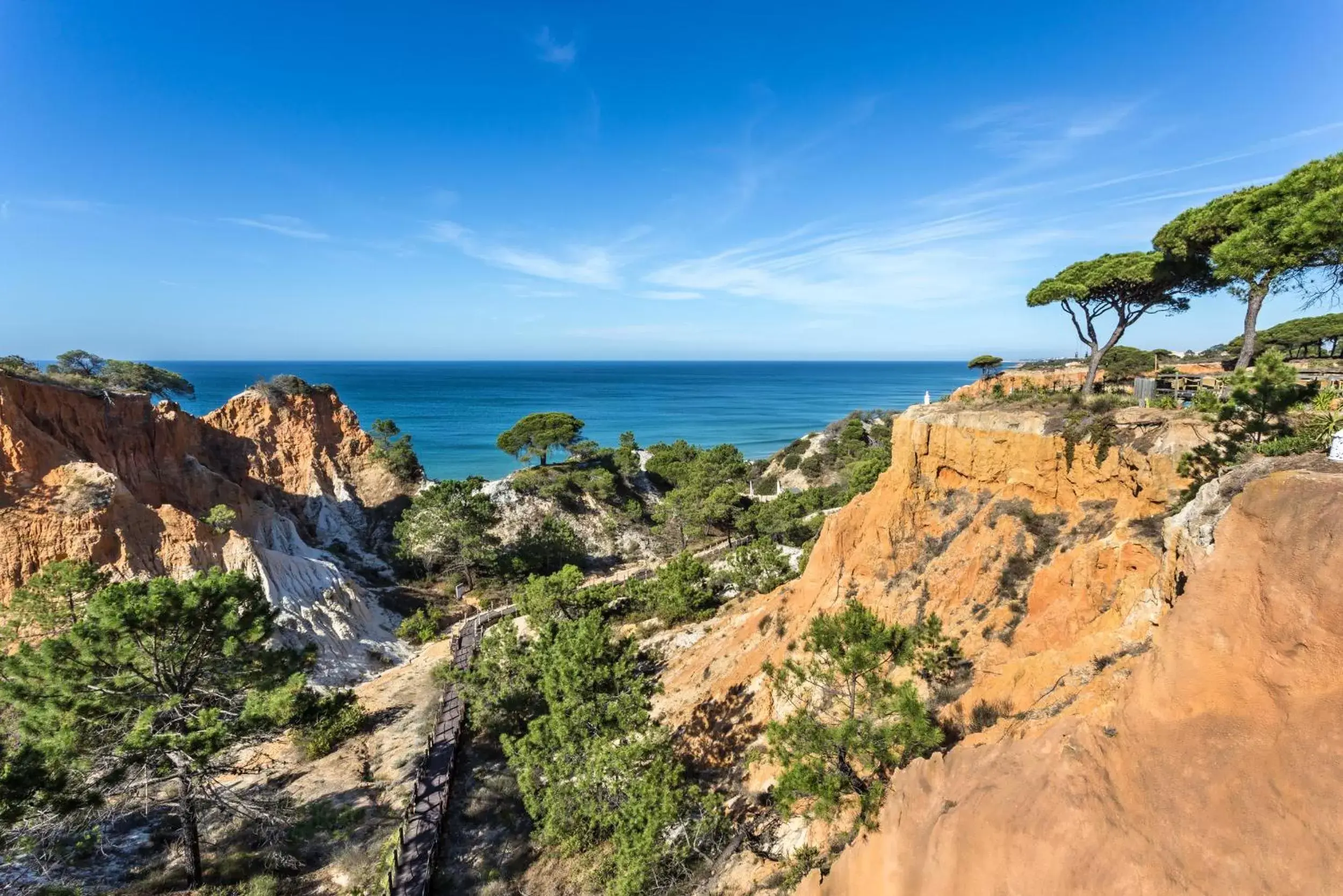 Beach in Pine Cliffs Gardens