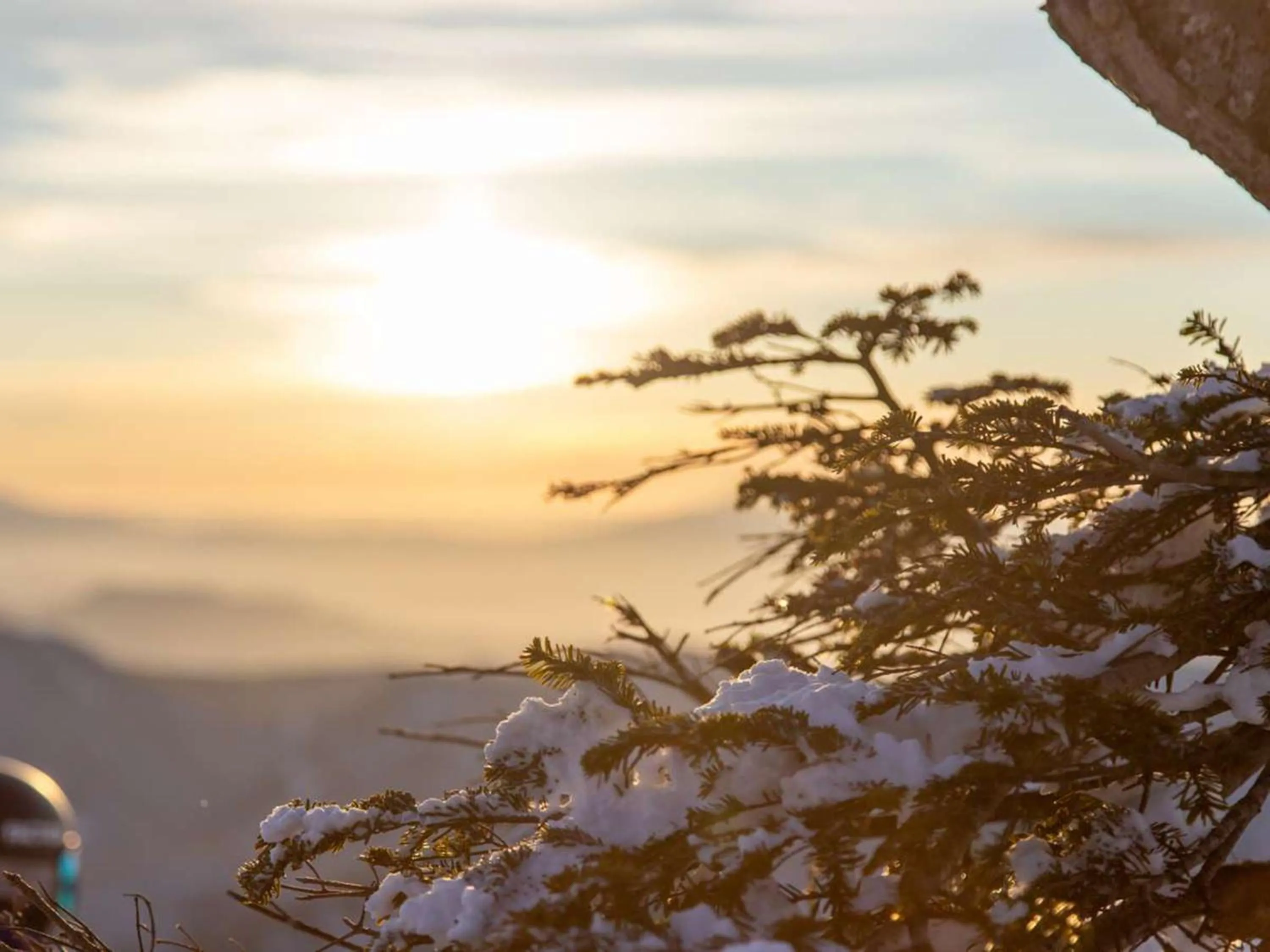 Natural landscape in Naeba Prince Hotel