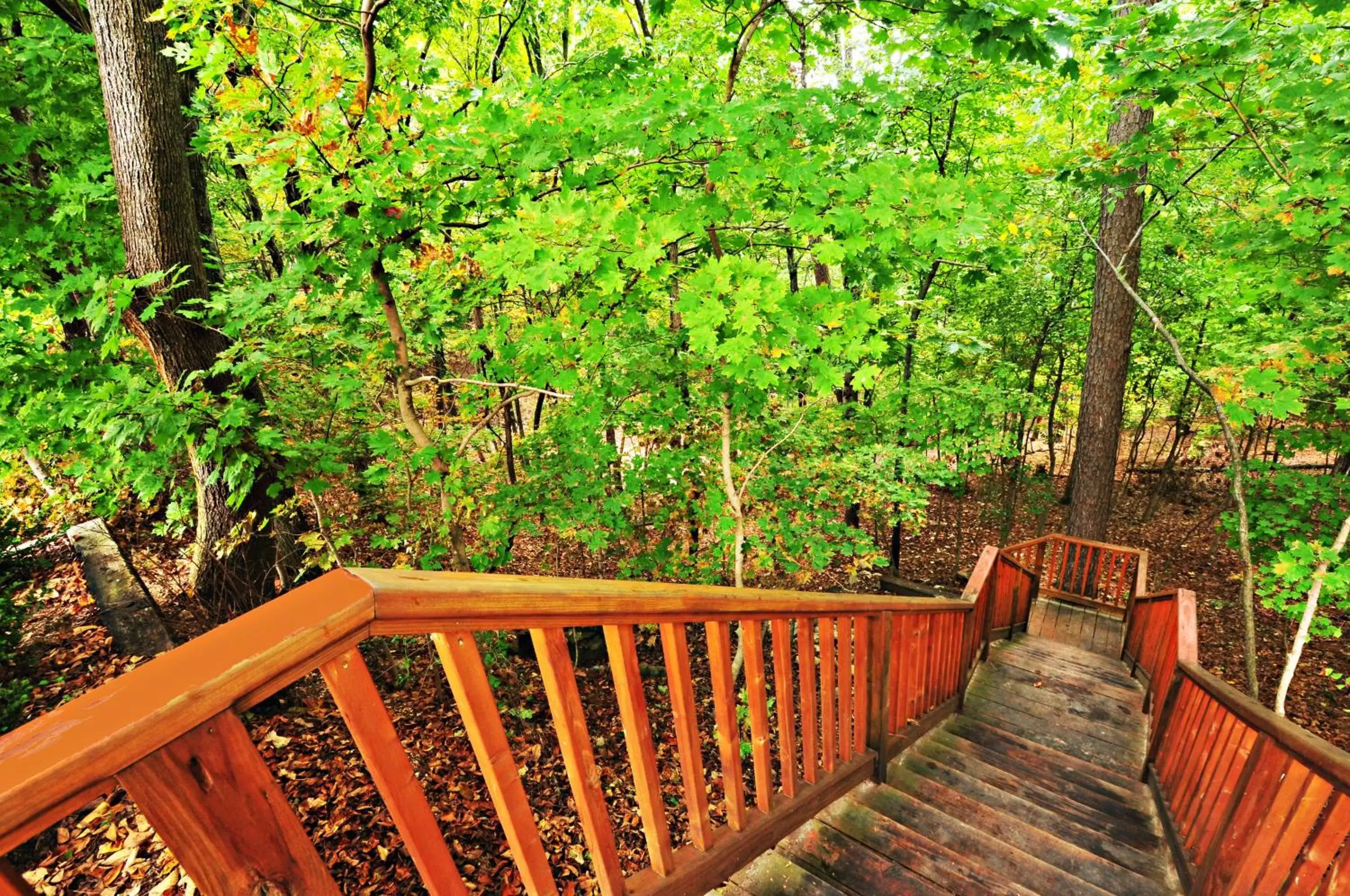 Hiking, Balcony/Terrace in 1886 Crescent Hotel and Spa