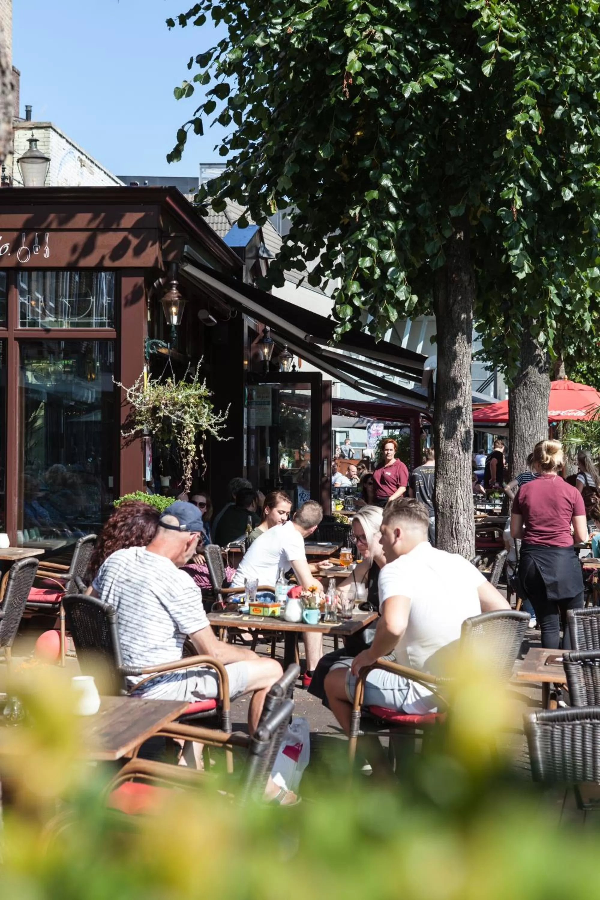 Balcony/Terrace in Hotel Verhoeven