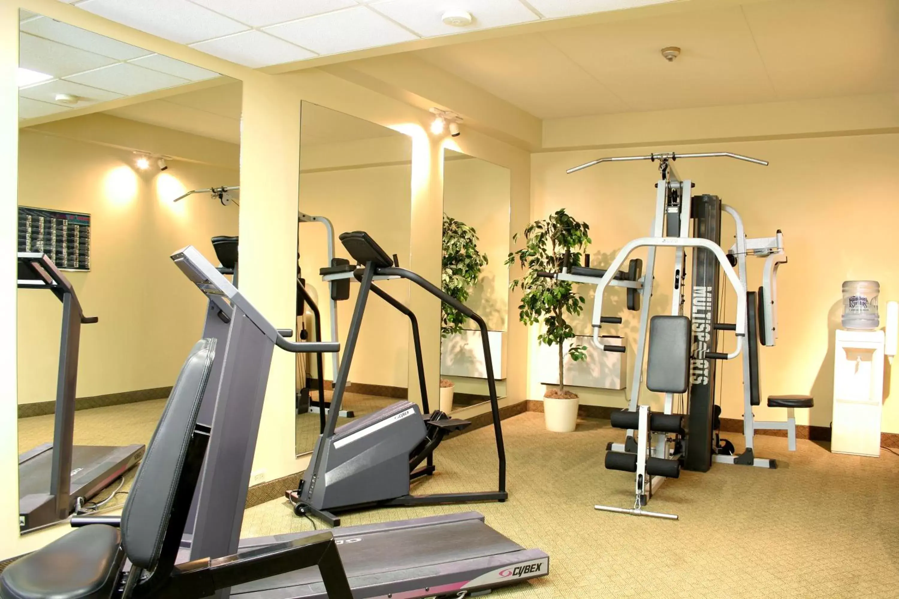 Fitness centre/facilities, Fitness Center/Facilities in Visitor's Inn