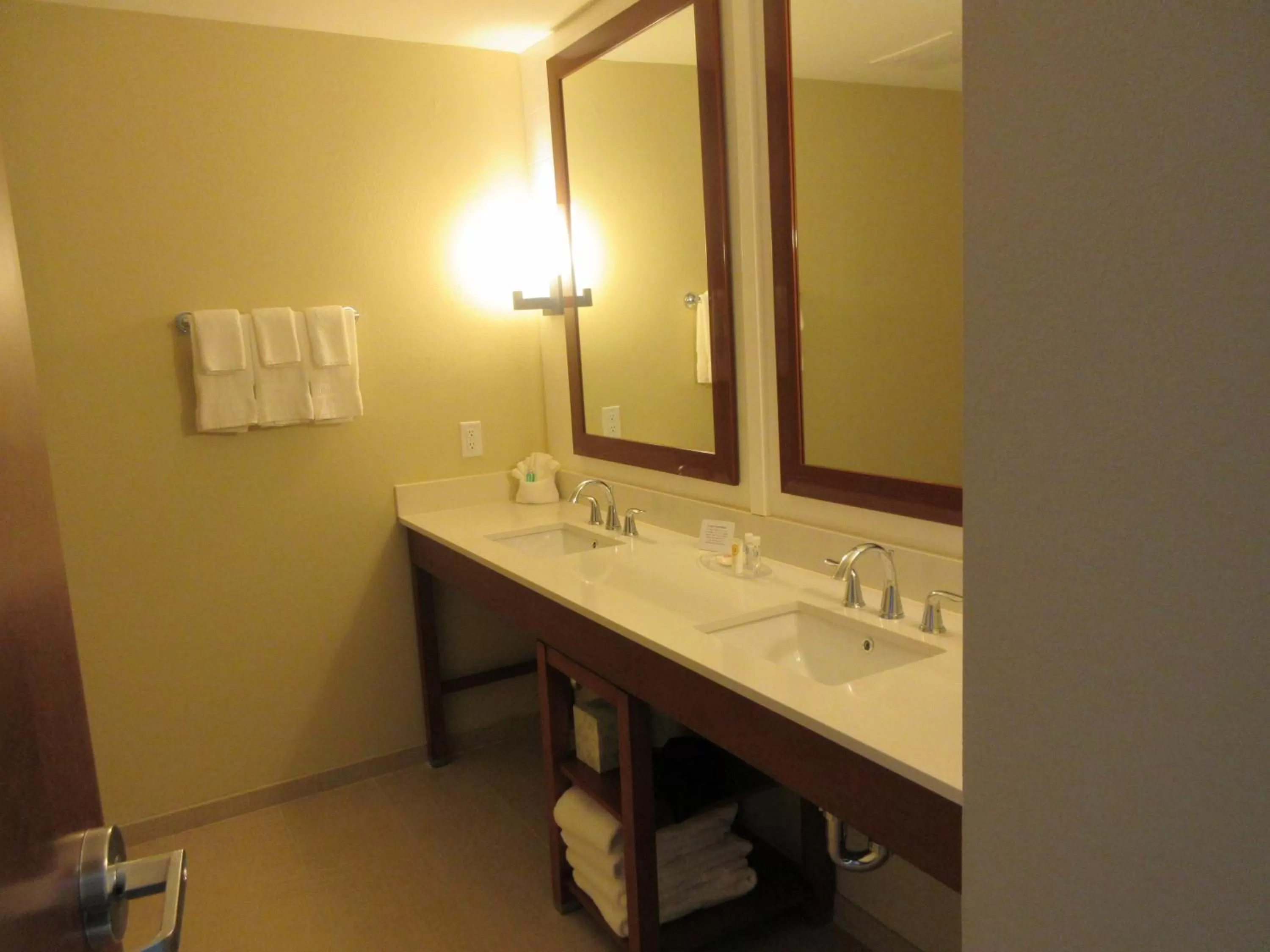 Bathroom in Comfort Suites Summerville North