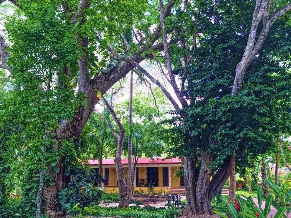 Garden view, Property Building in Hacienda Chichen Resort and Yaxkin Spa