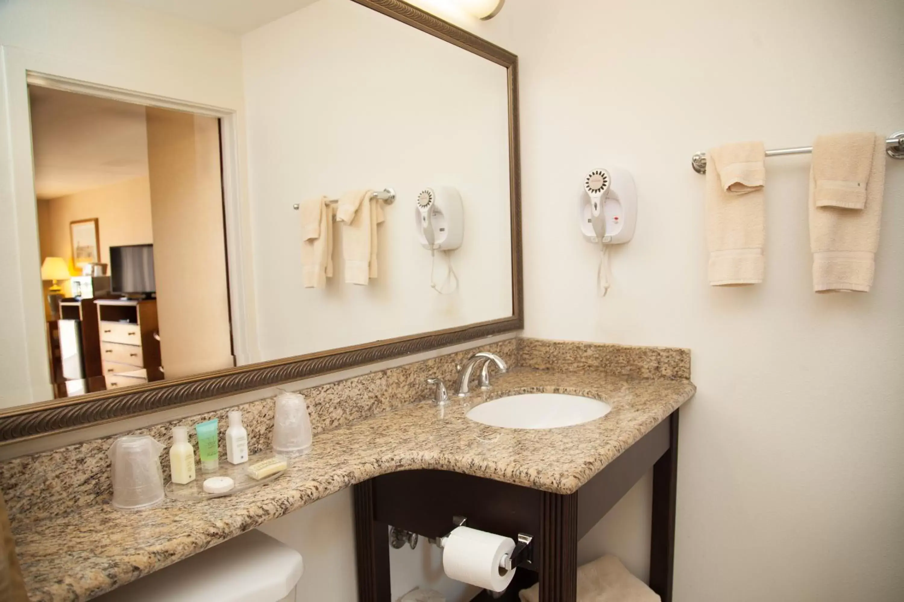 Bathroom in Bodega Coast Inn and Suites