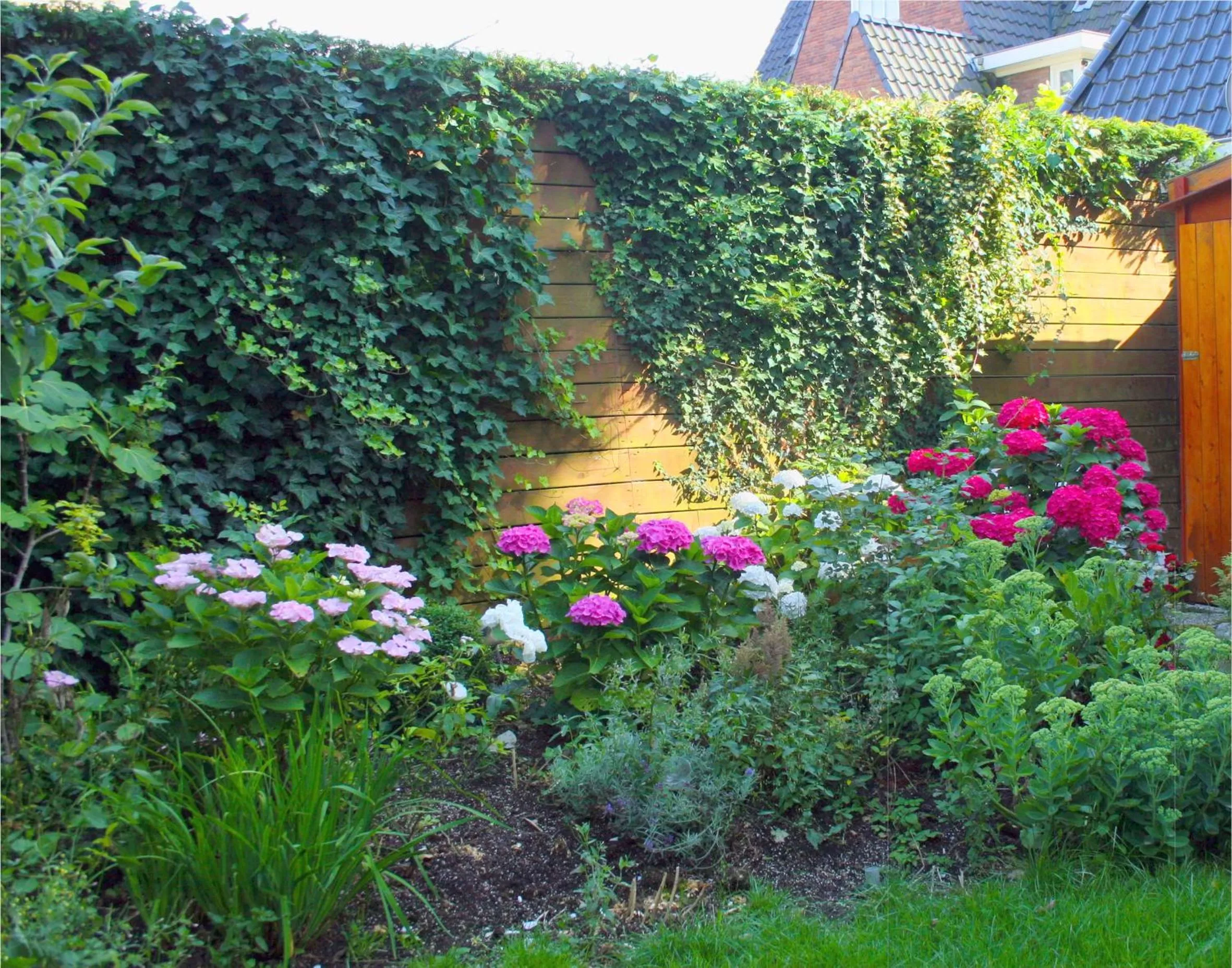 Garden in Xaviera's Bed and Breakfast
