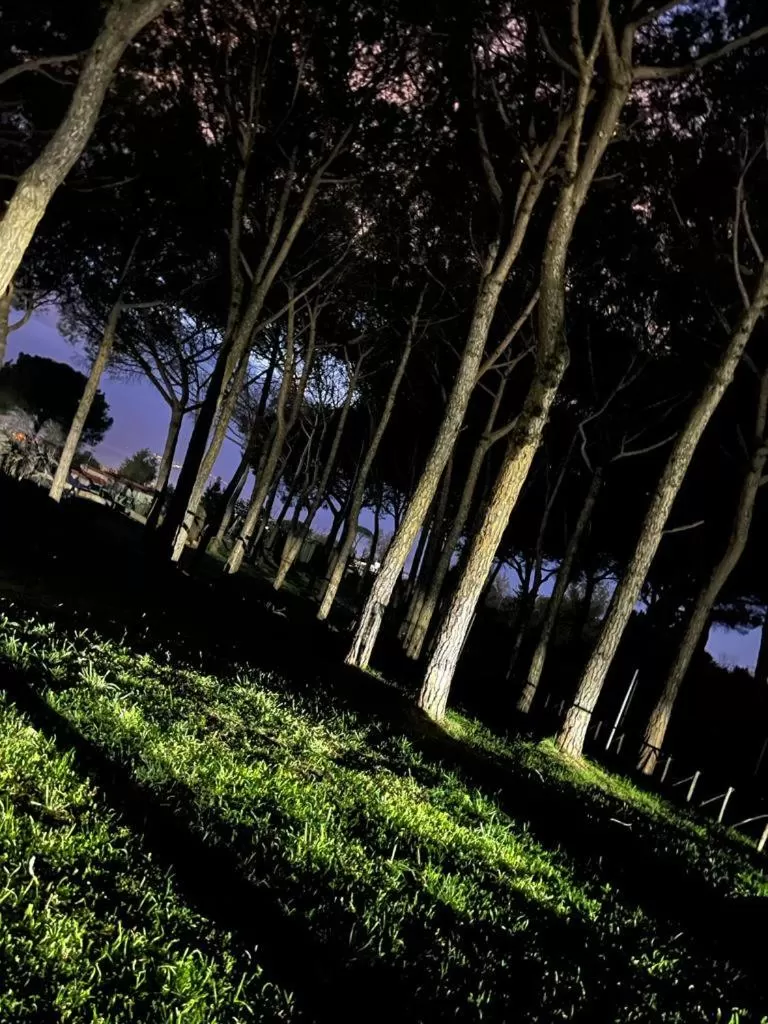 Night in Bosco Mattavona