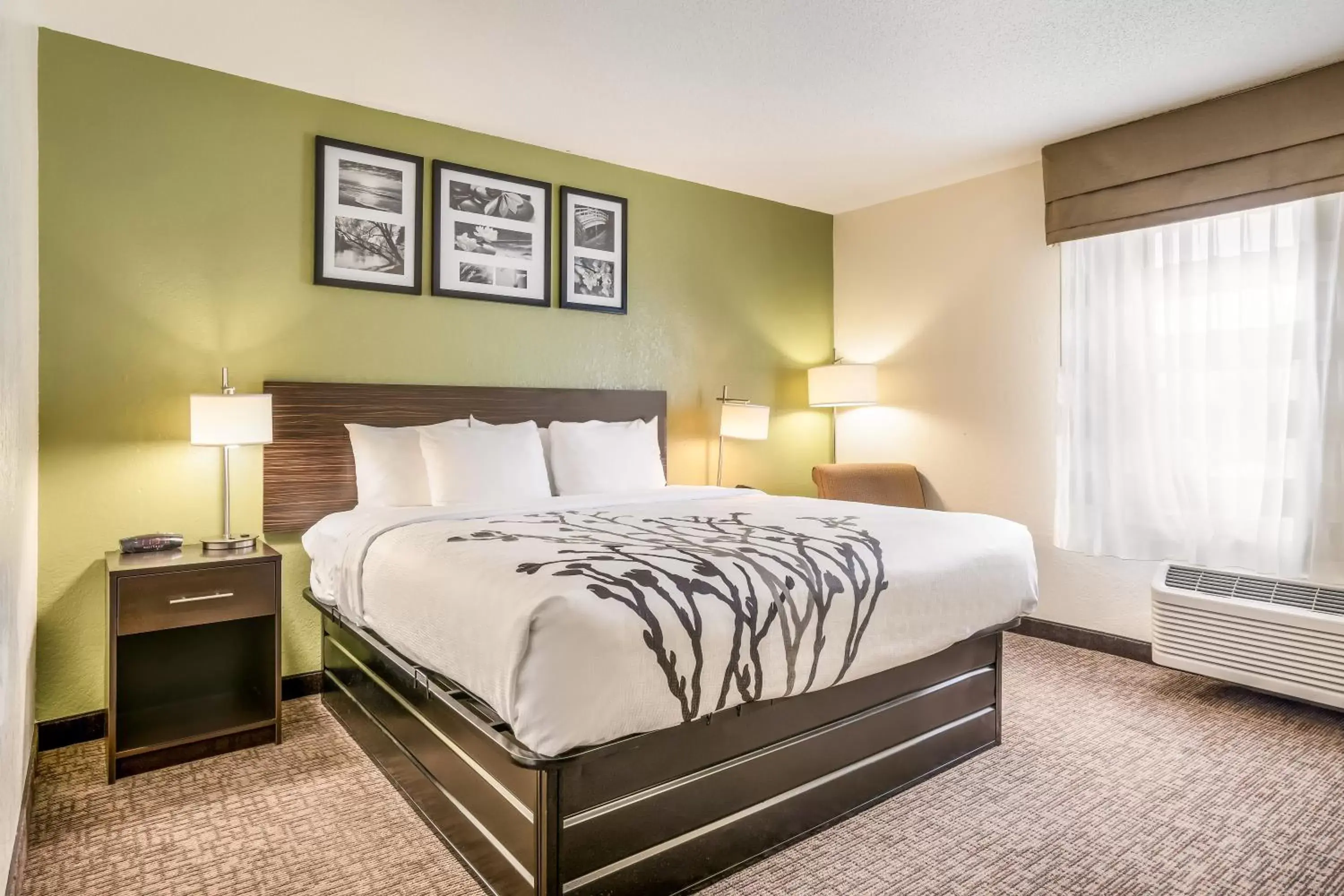 Bedroom, Bed in Sleep Inn & Suites Jacksonville near Camp Lejeune