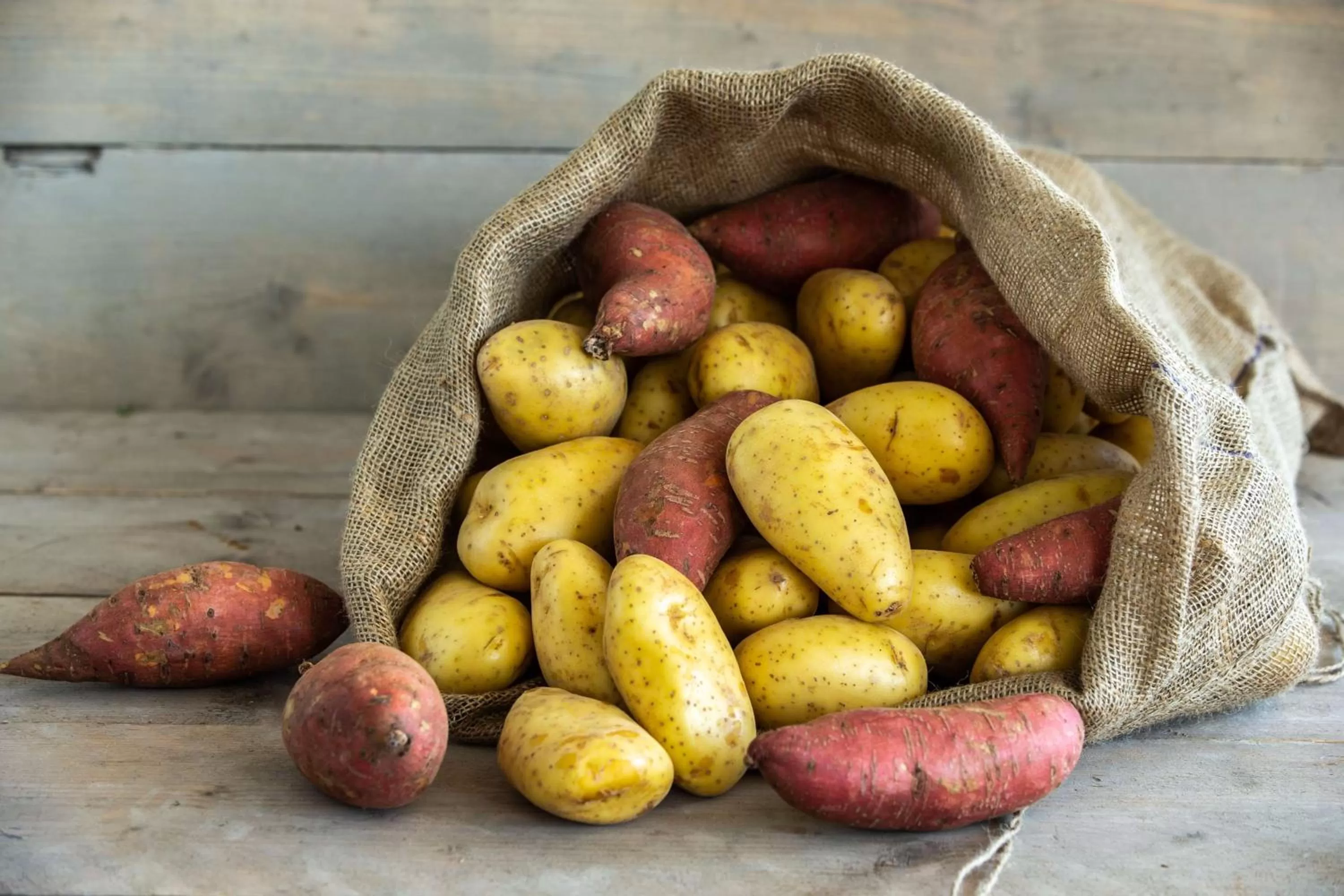 Other in Radisson Blu Hotel, Antwerp City Centre