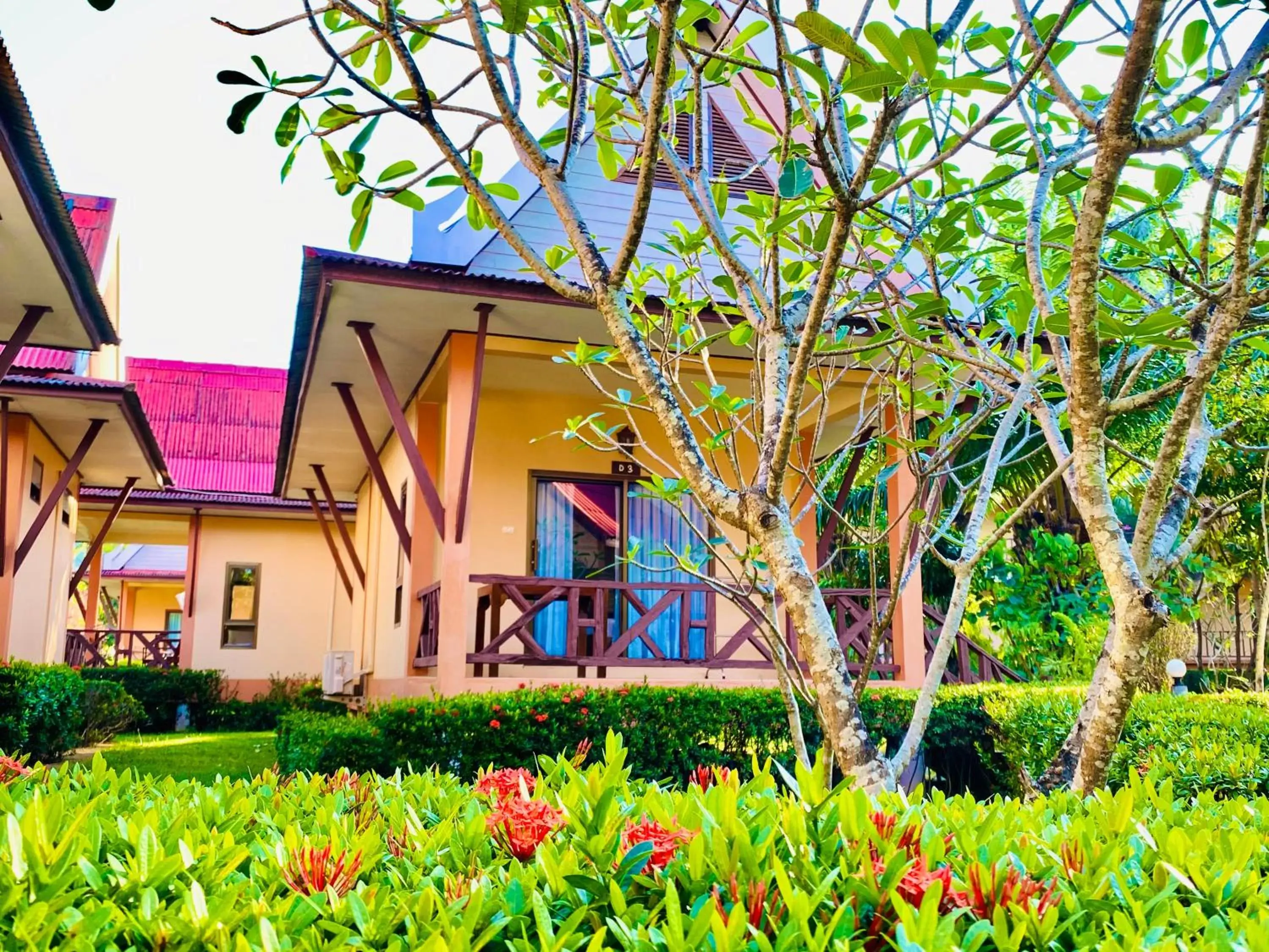 Garden view in Kaibae Hut Resort Garden view in Kaibae Hut Resort